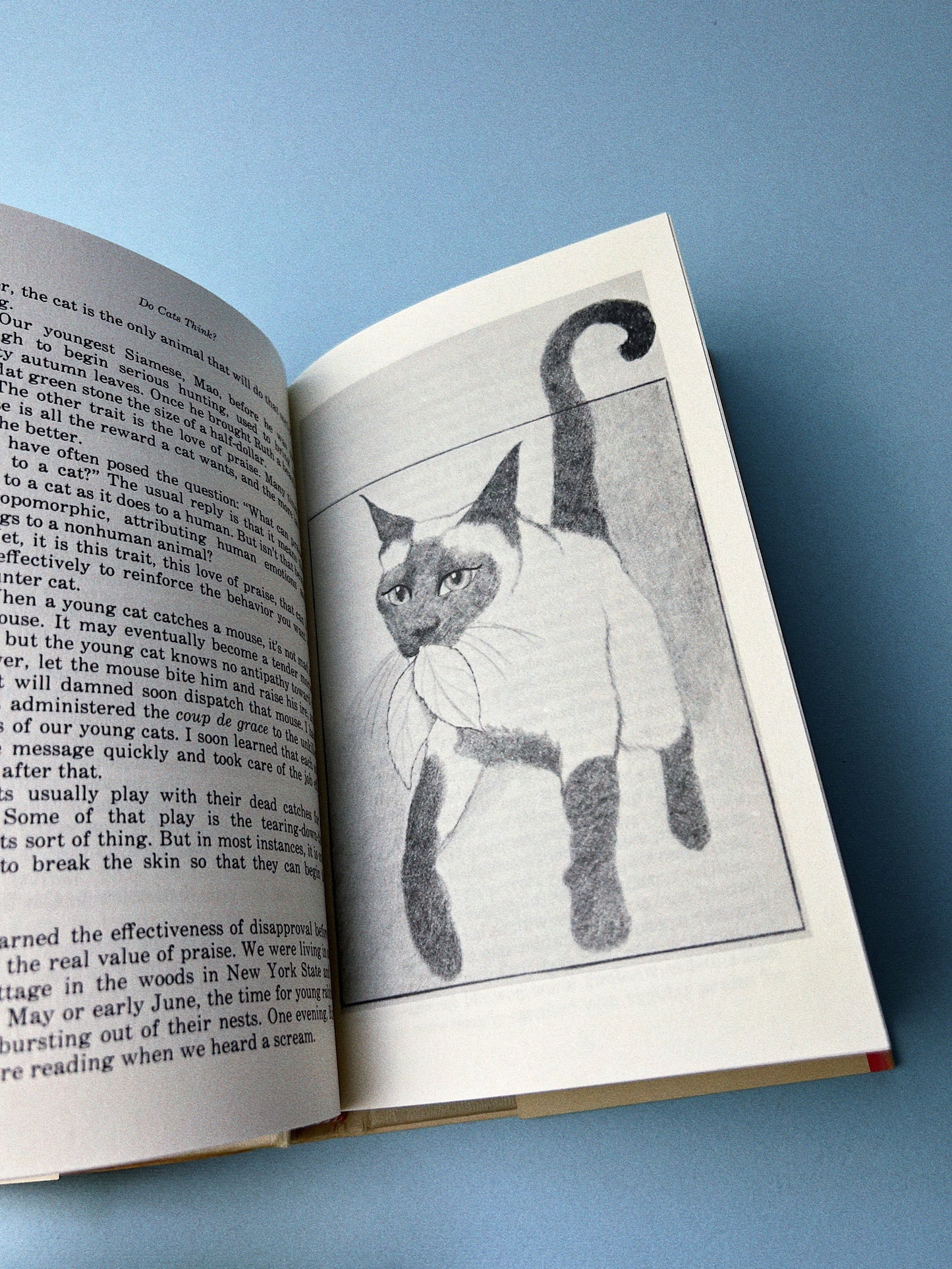 Vintage Do Cats Think Book