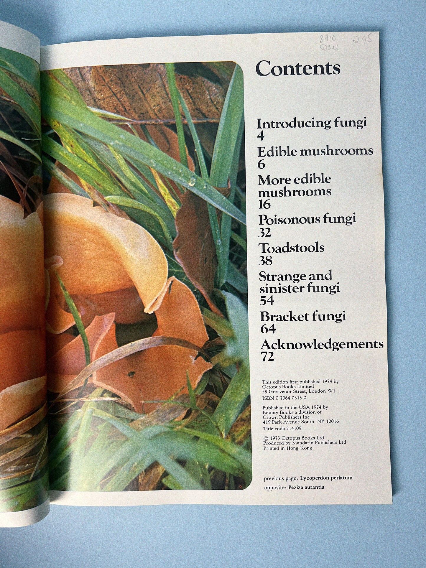 Vintage All Colour Book of Mushrooms and Fungi