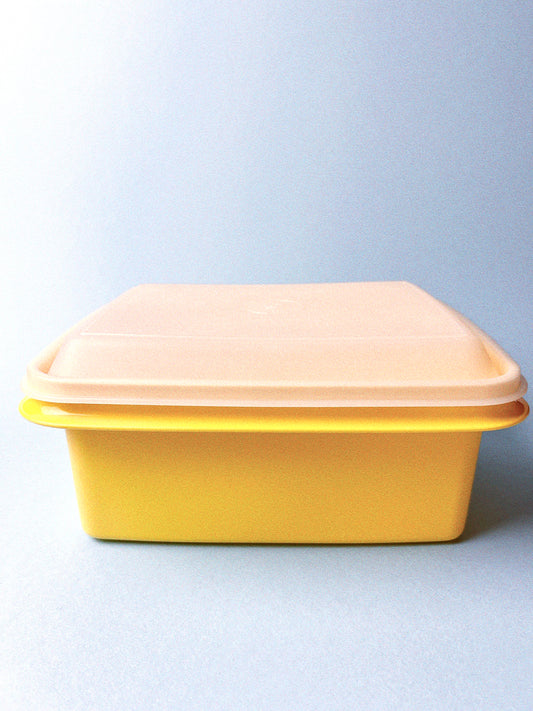 Vintage Tupperware Lunch Box Set