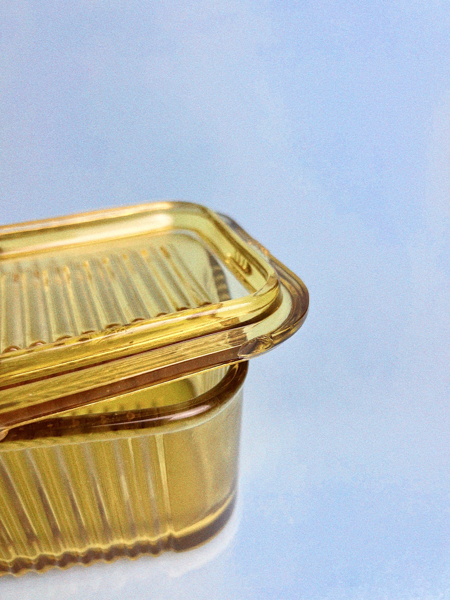 Oona Refrigerator Dish