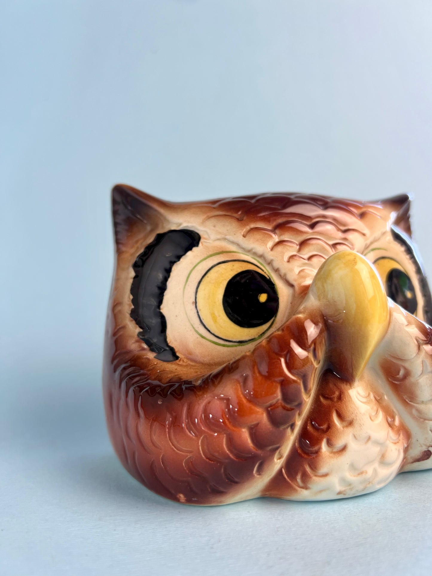Vintage Owl Eye Glasses Holder