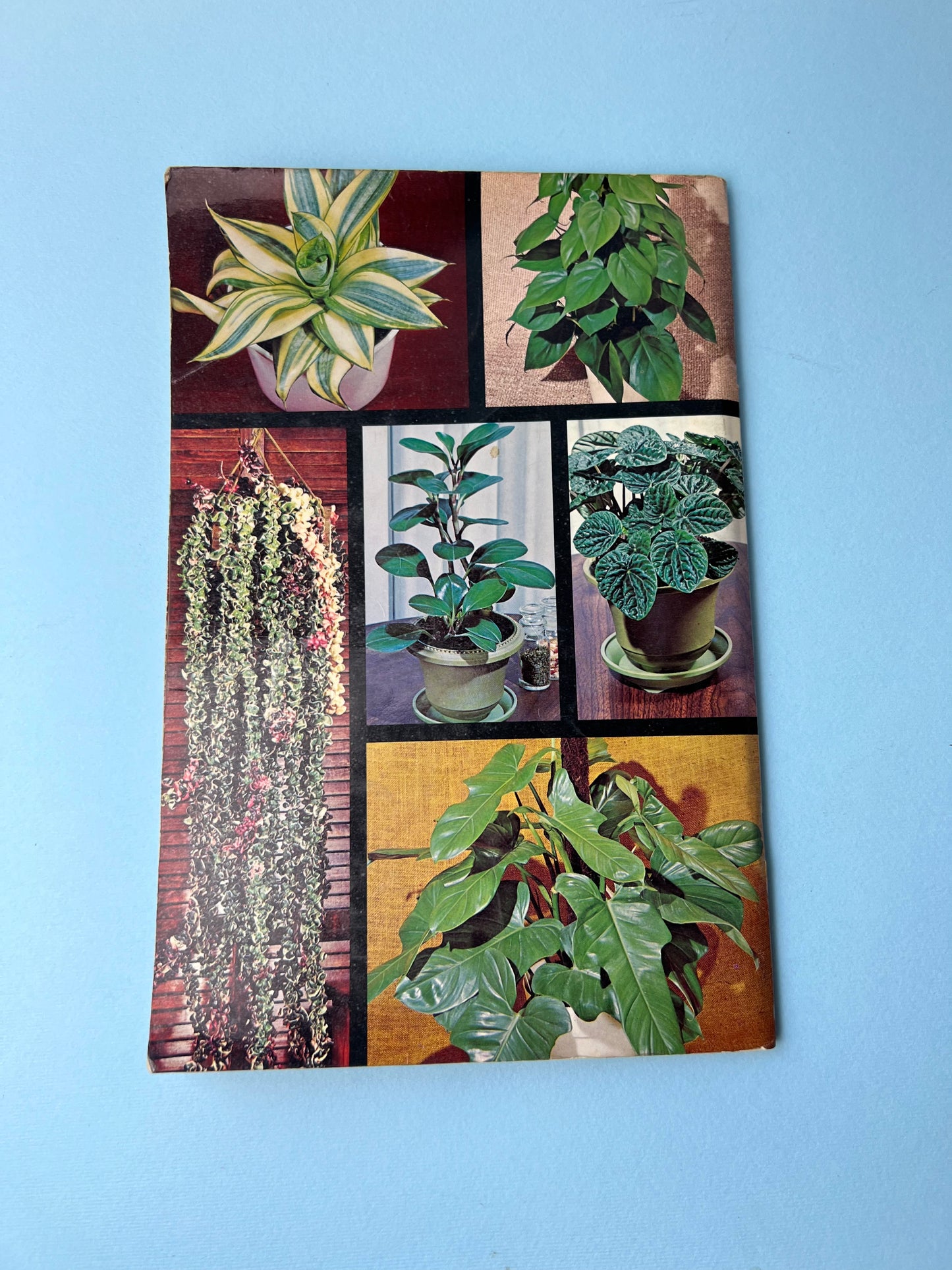 Vintage Foliage Plants for Modern Living Book