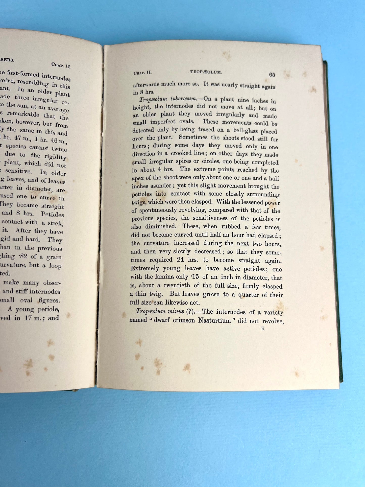 Vintage The Movements and Habits of Climbing Plants Book by Charles Darwin