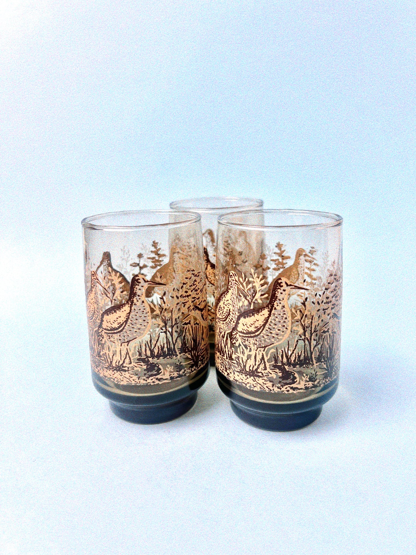 Vintage 70's Tawny Shorebird Glasses, Set of 2 | Dominion Glass