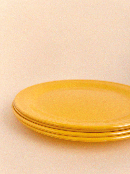Sunny Melamine Dinner Plates