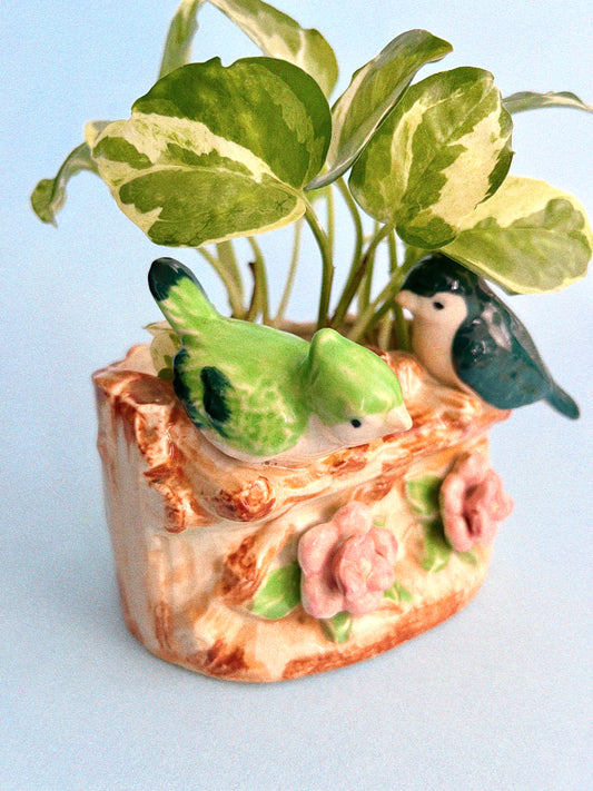 Two Birds Planter