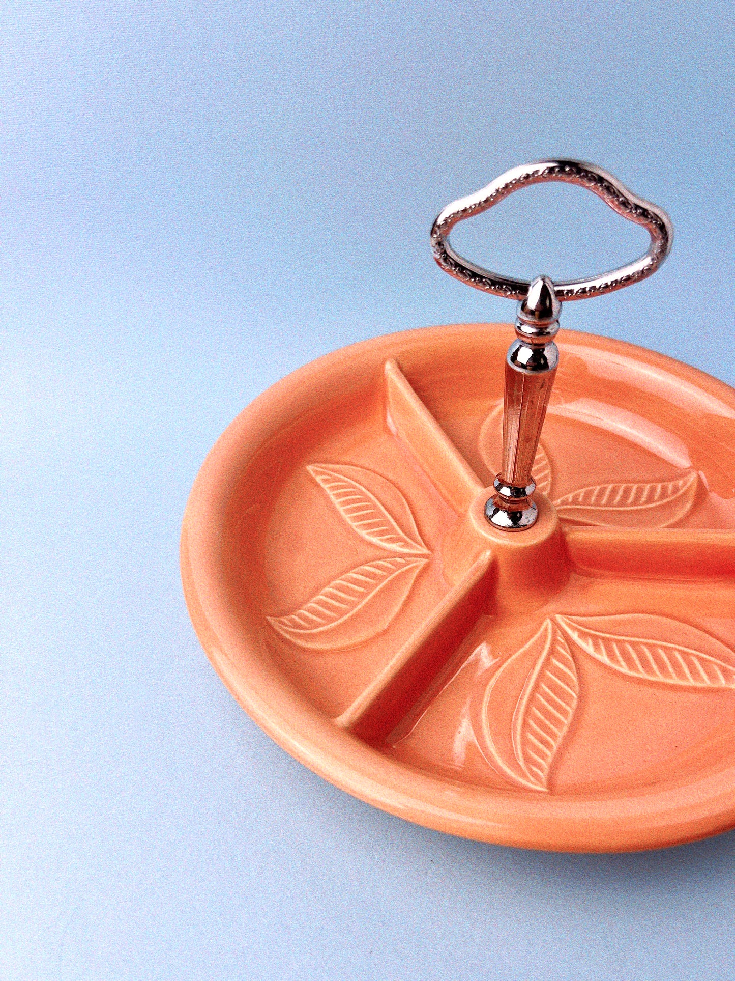 Savanna Divided Dish | Coral