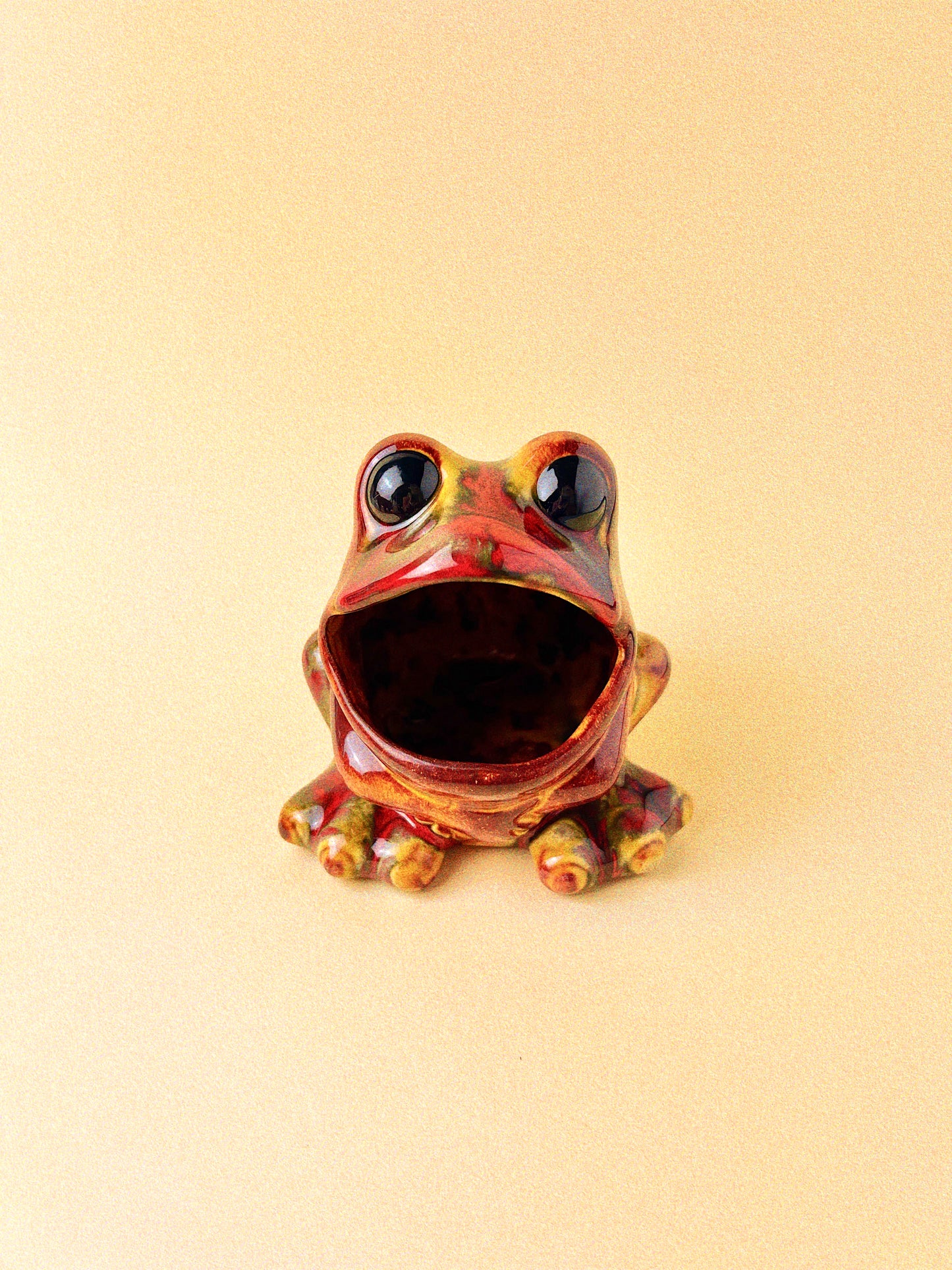 Vintage Frog Sponge Holder