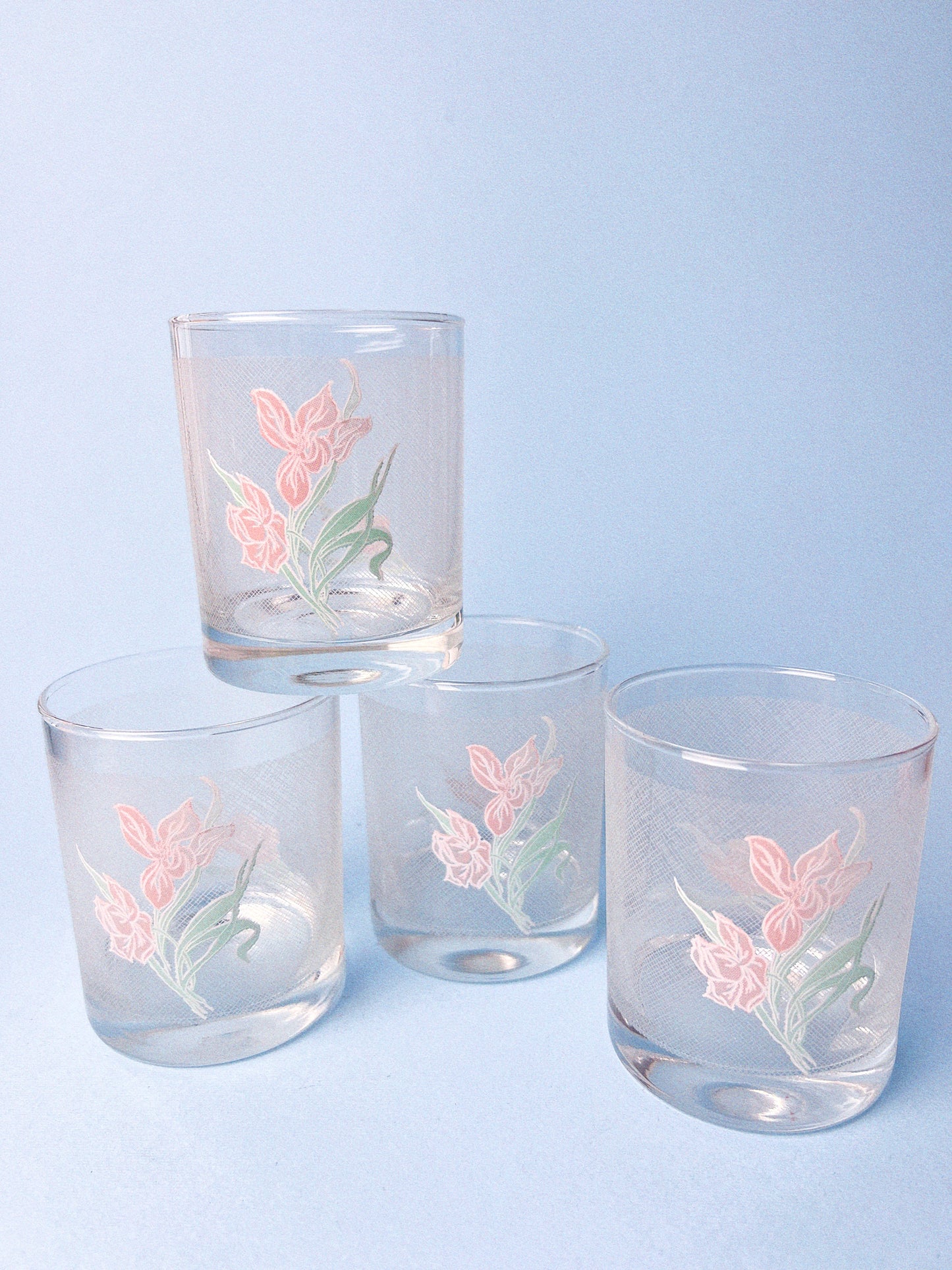 Vintage Blush Petal Glasses - Set of 4