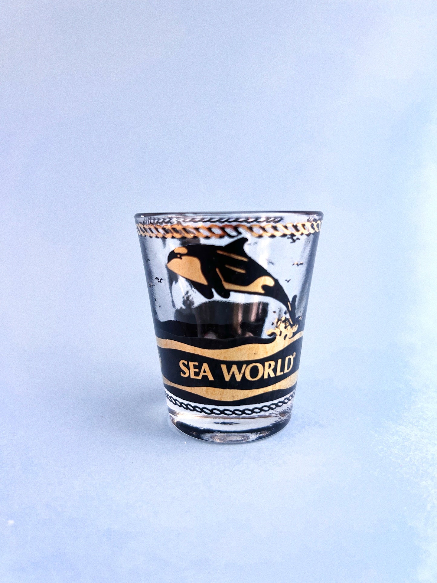 Vintage Sea World Souvenir Shot Glass