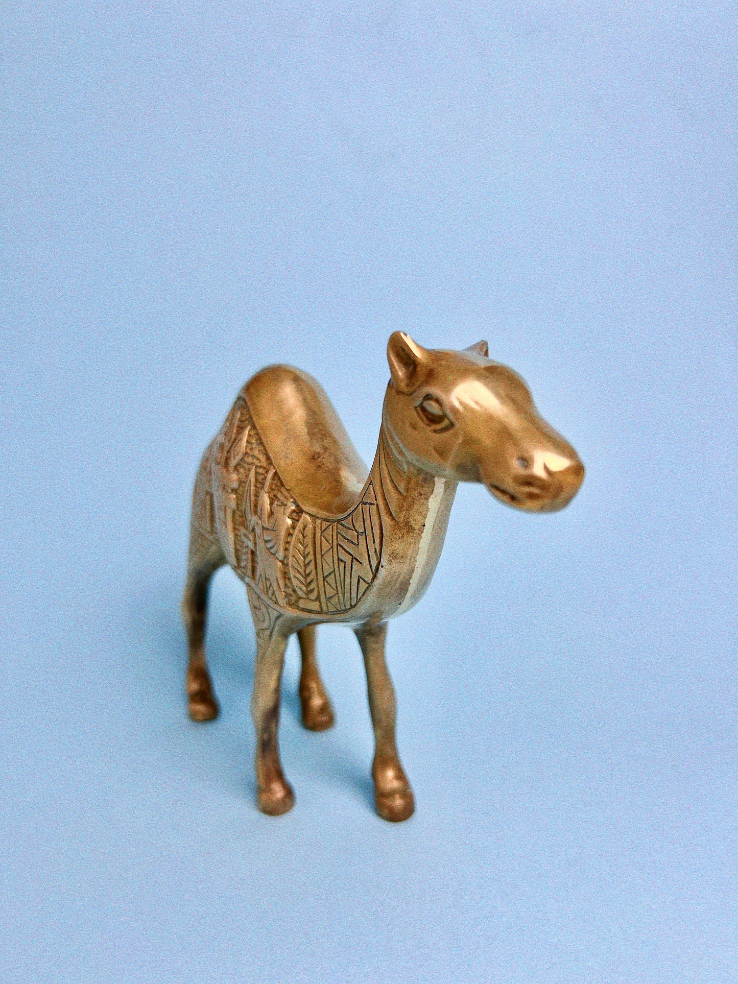 Esraa The Vintage Brass Camel