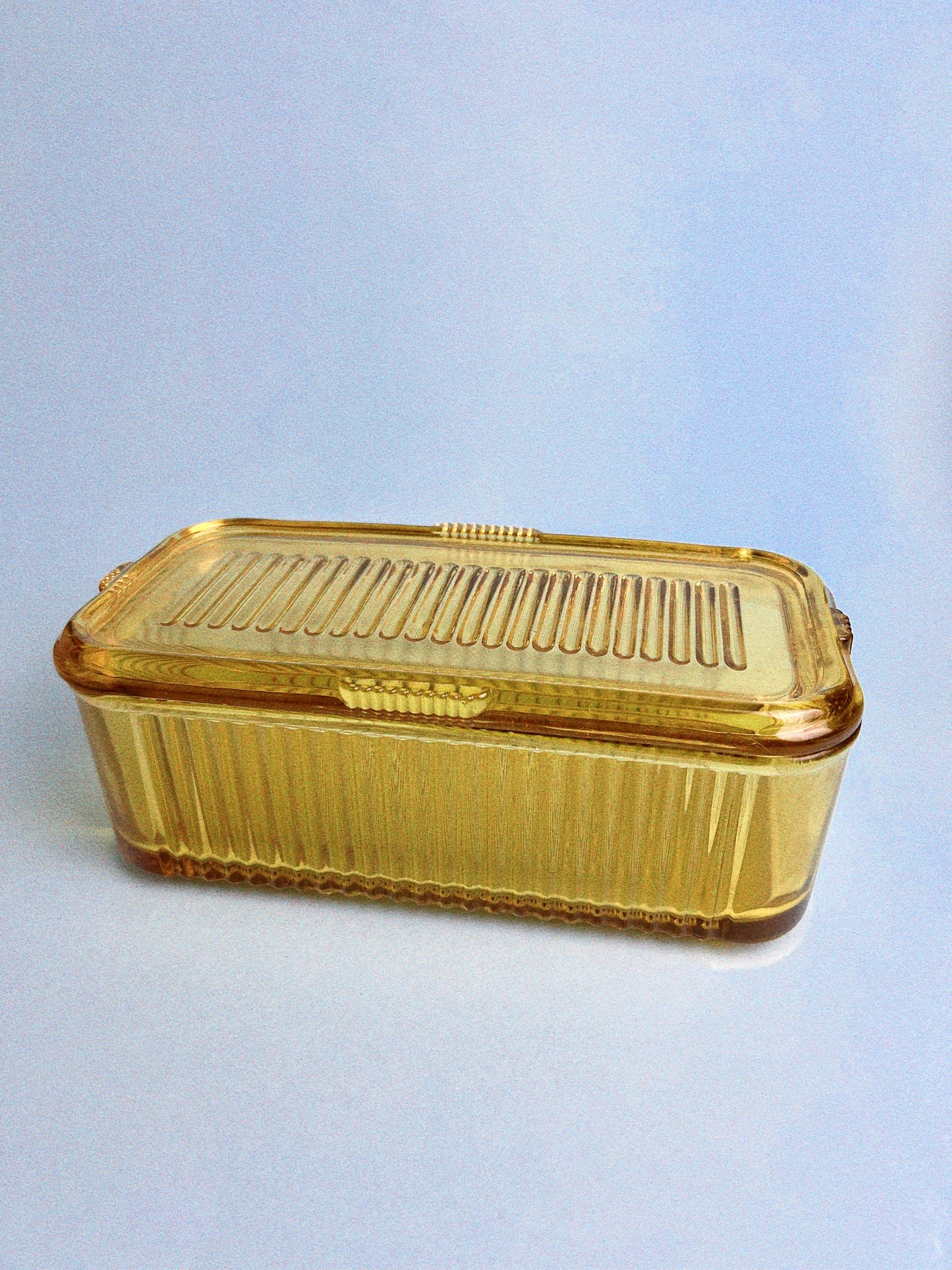 Oona Refrigerator Dish