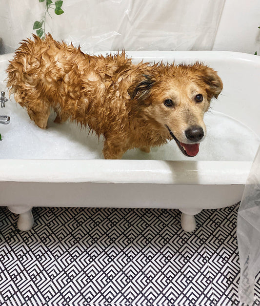 Tessellate Tile Panel Roll | Mono