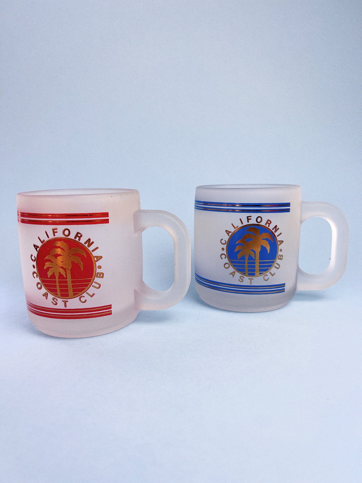 Vintage California Coast Frosted Souvenir Mug