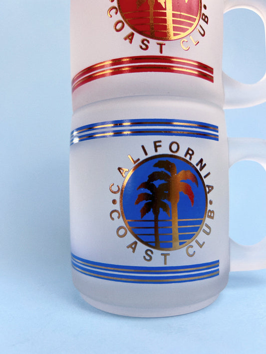Vintage California Coast Frosted Souvenir Mug
