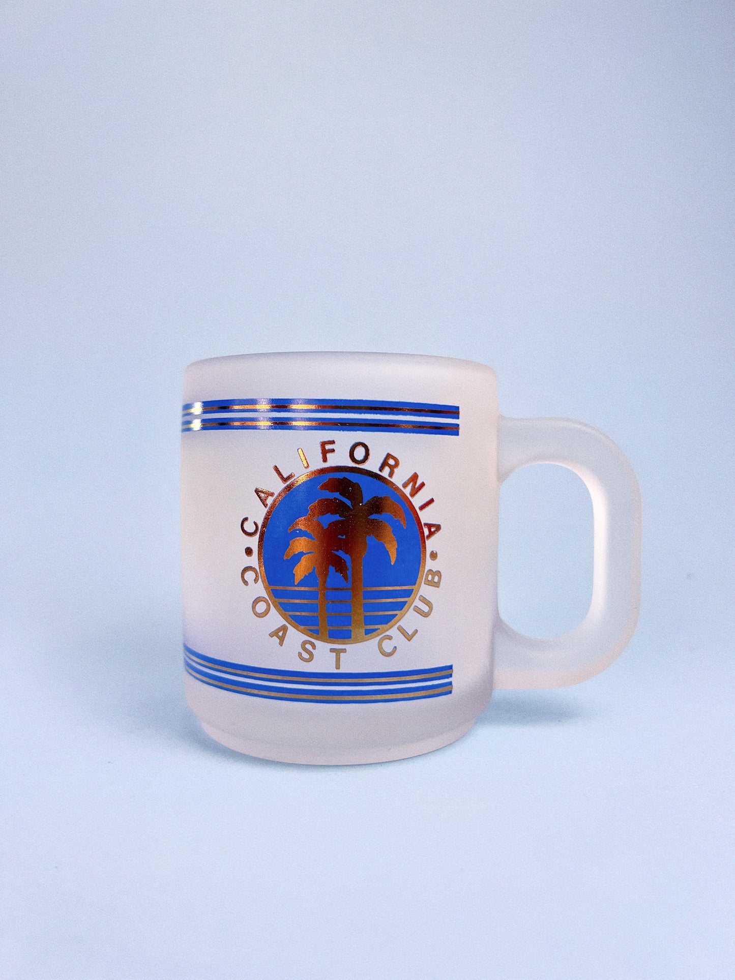 Vintage California Coast Frosted Souvenir Mug