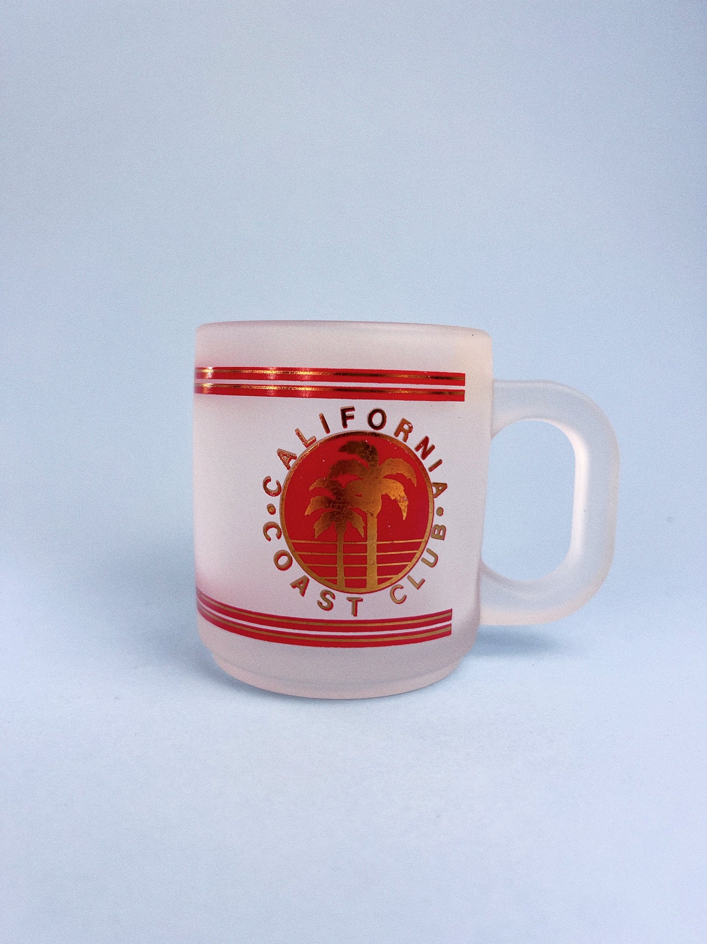 Vintage California Coast Frosted Souvenir Mug