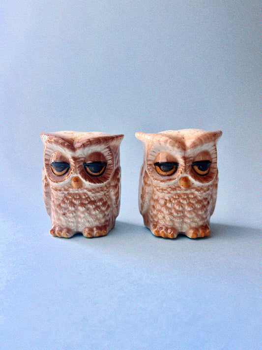 Sleepy Owl S+P Shakers