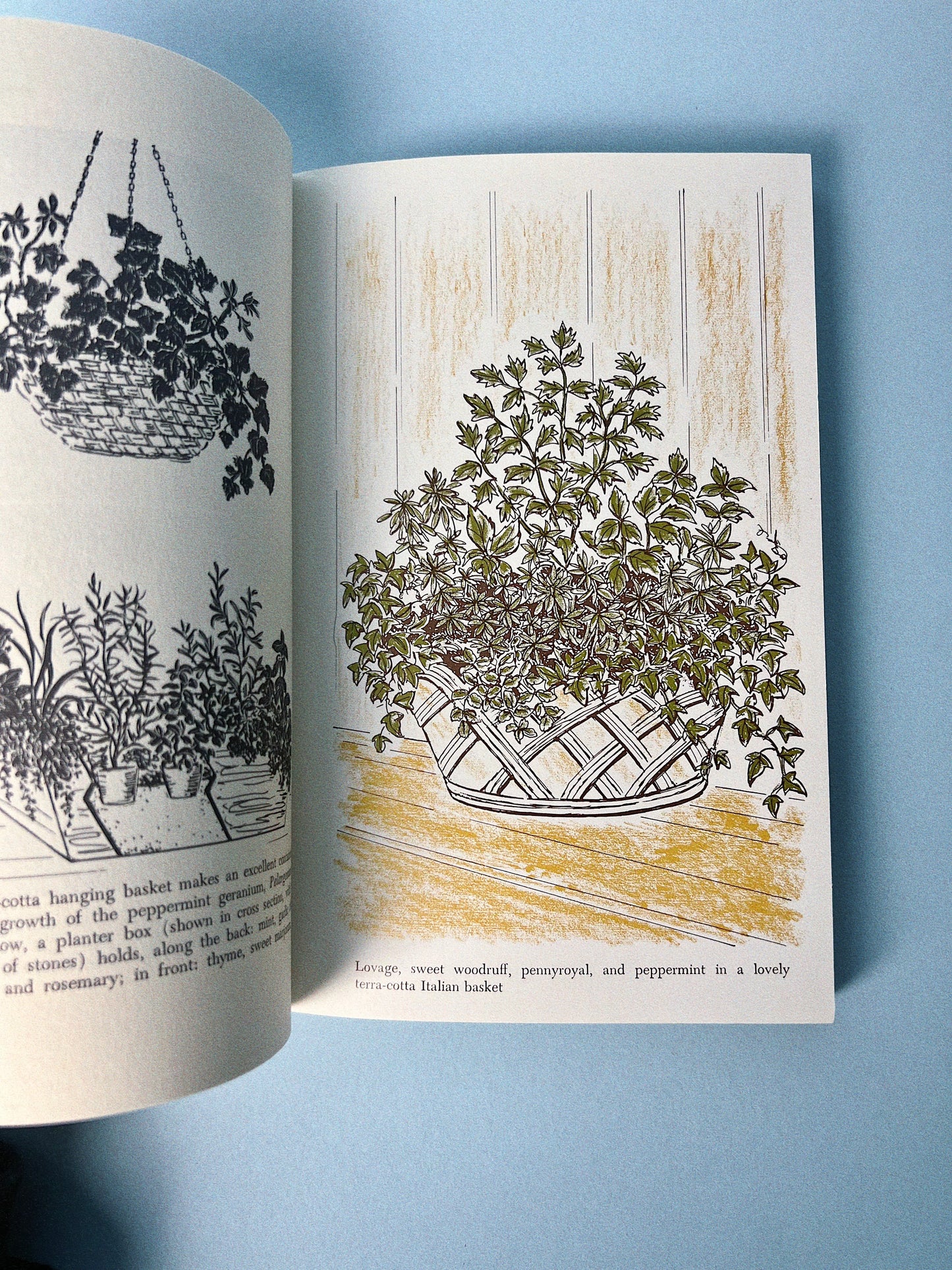 Vintage Herbs to Grow Indoors Book