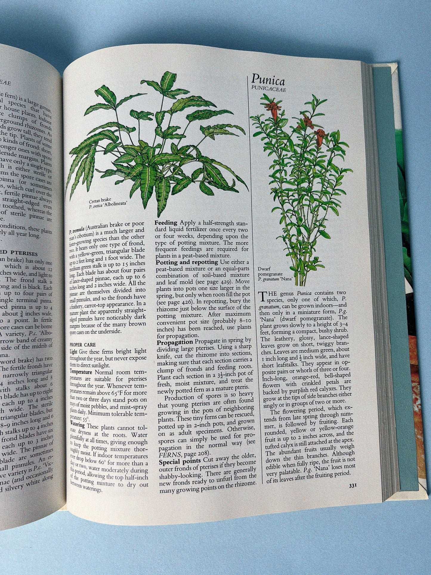 Vintage Reader’s Digest Book Success with Houseplants