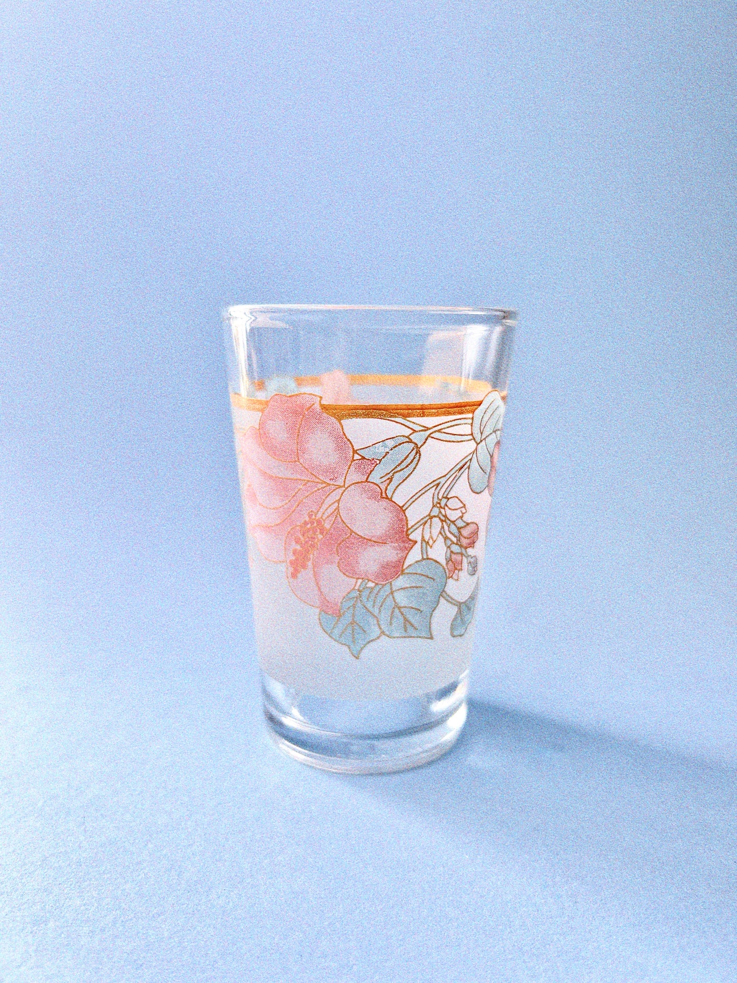 Vintage Hibiscus Juice Glasses, Set of 4