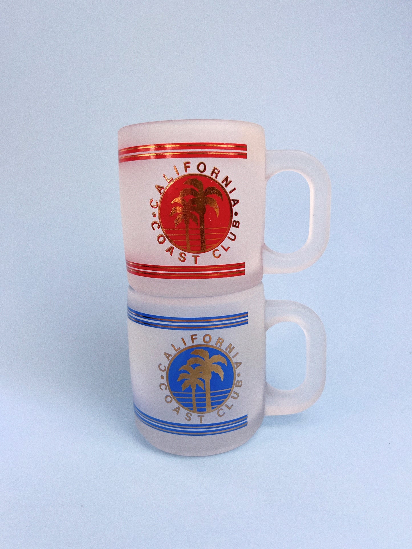 Vintage California Coast Frosted Souvenir Mug