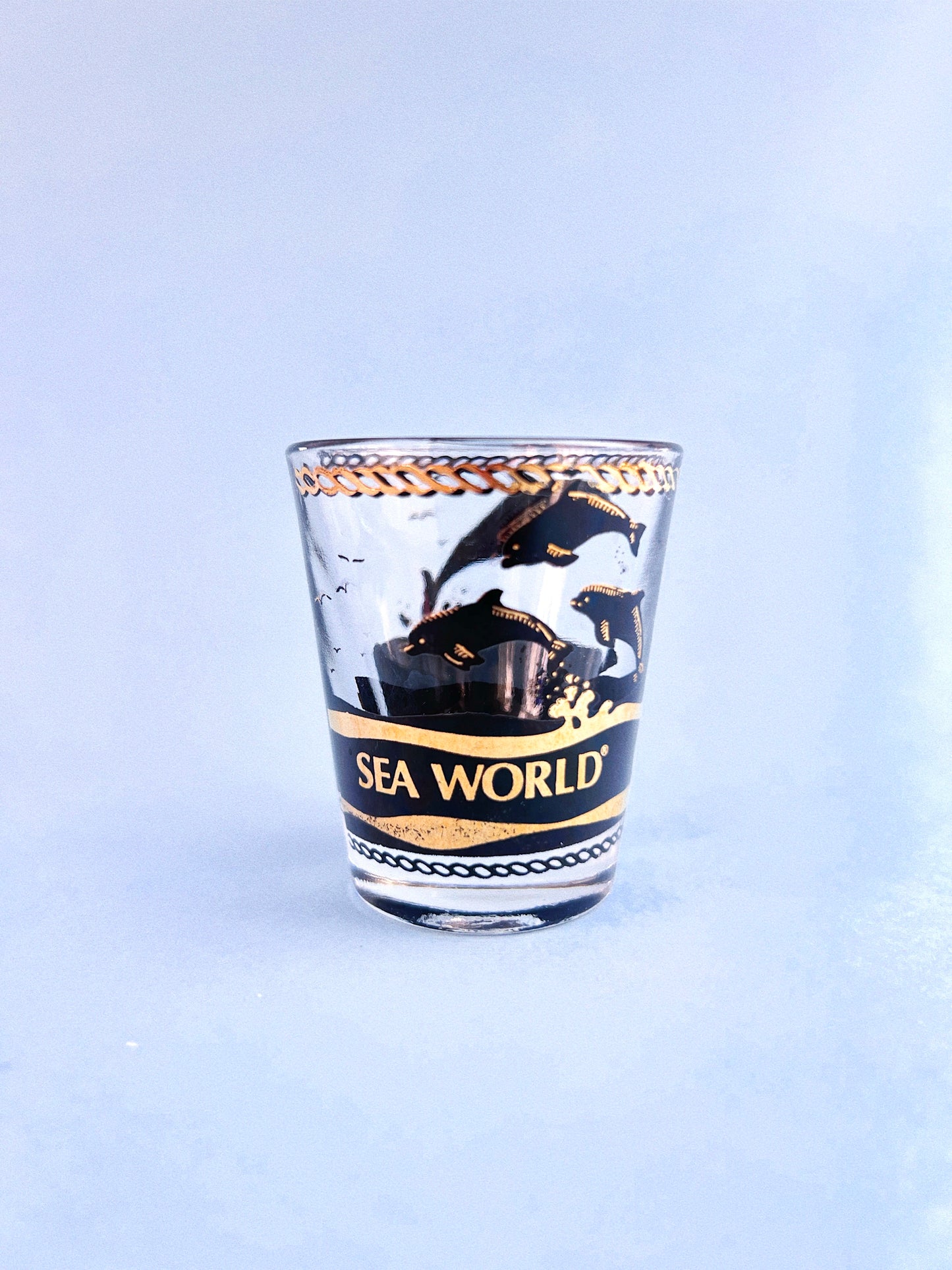 Vintage Sea World Souvenir Shot Glass