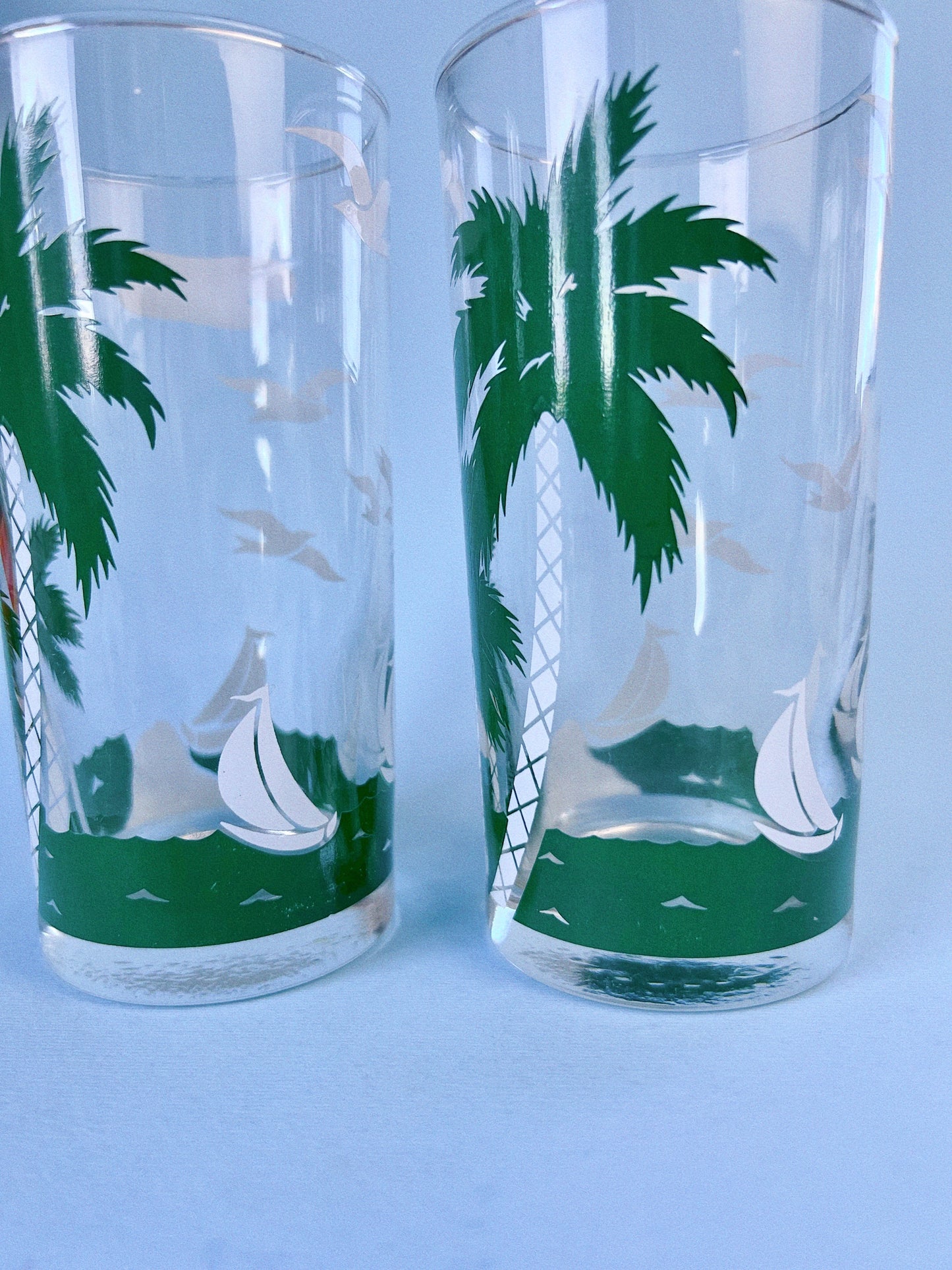 Tropical Highball Glasses, Set of 2