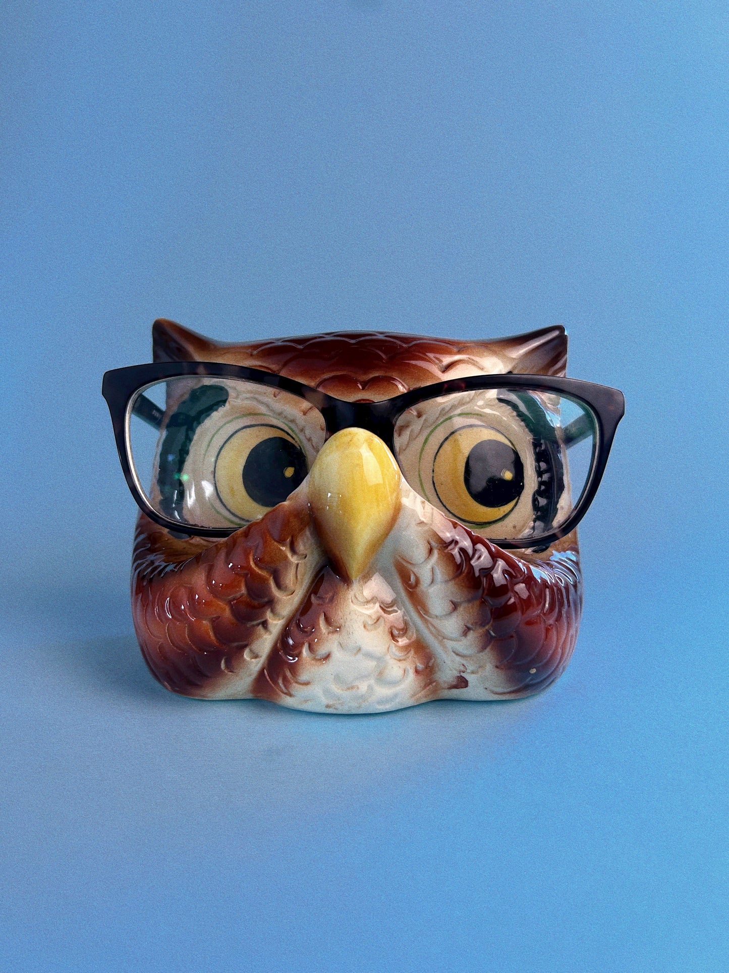 Vintage Owl Eye Glasses Holder