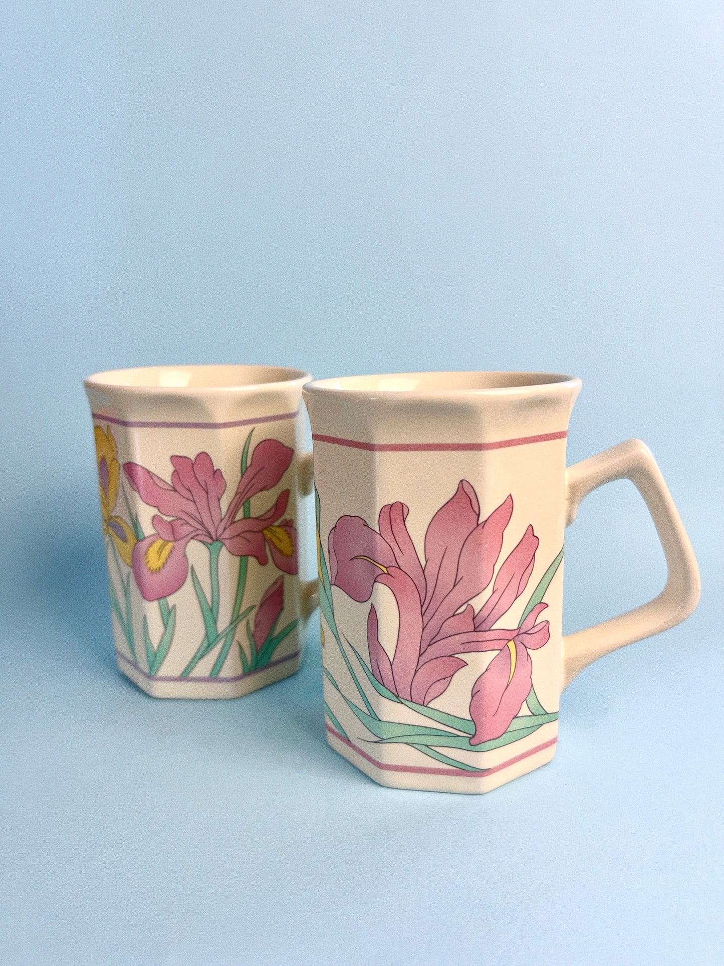 Vintage Pastel Iris Flower Octagonal Mugs, Set of 2