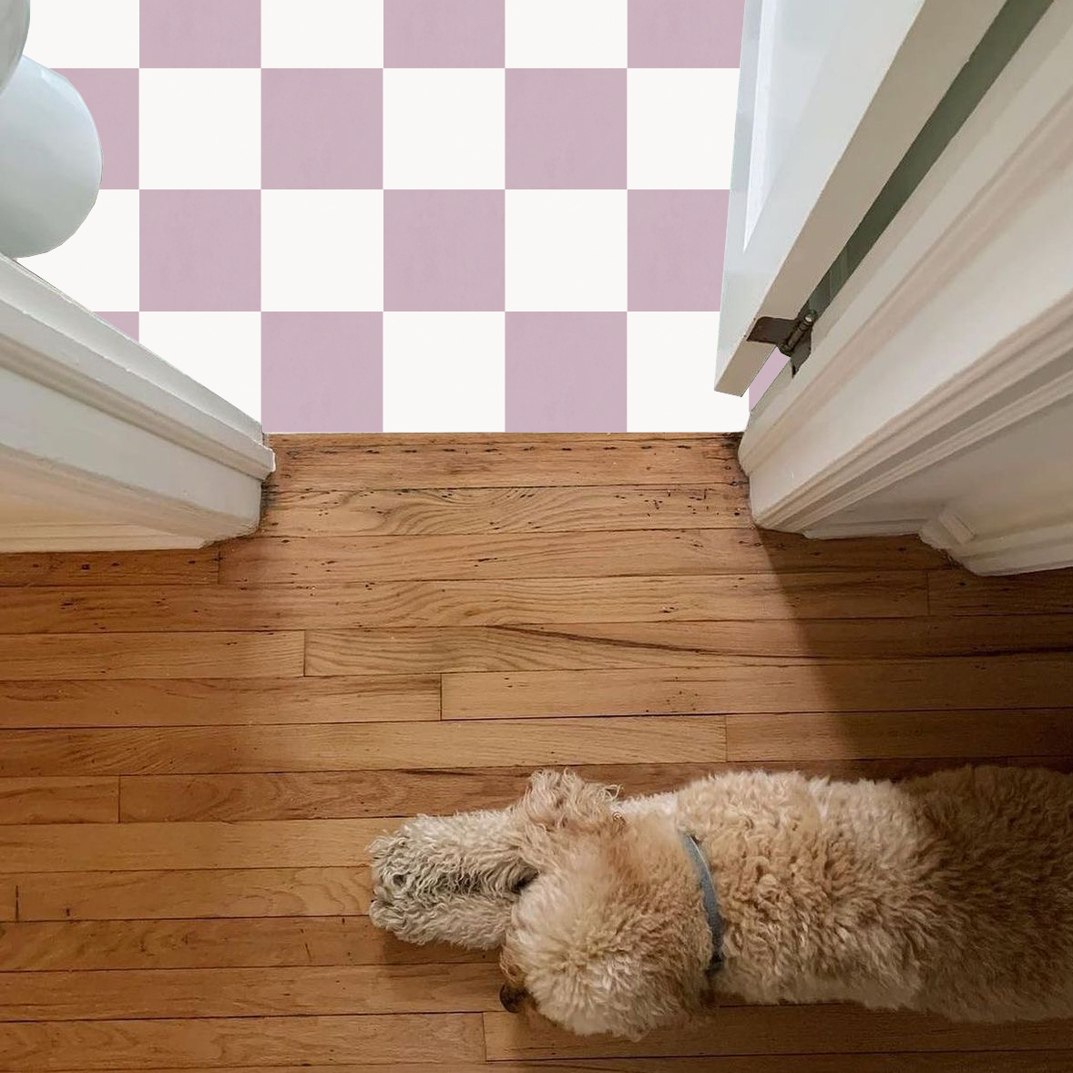 Checkerboard Sticker Tile | Lavender Haze