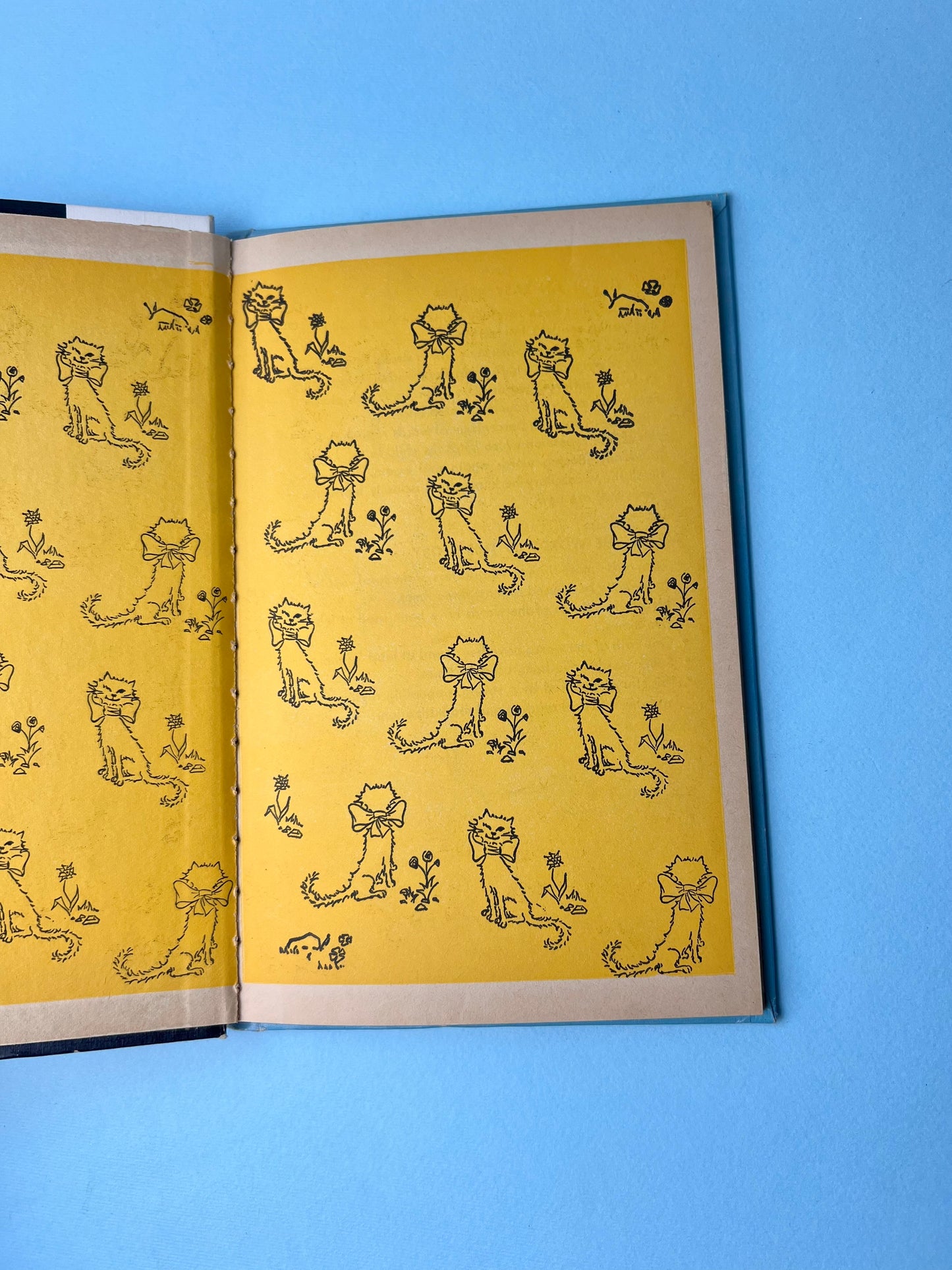 Vintage Wonder Book - The Secret Cat