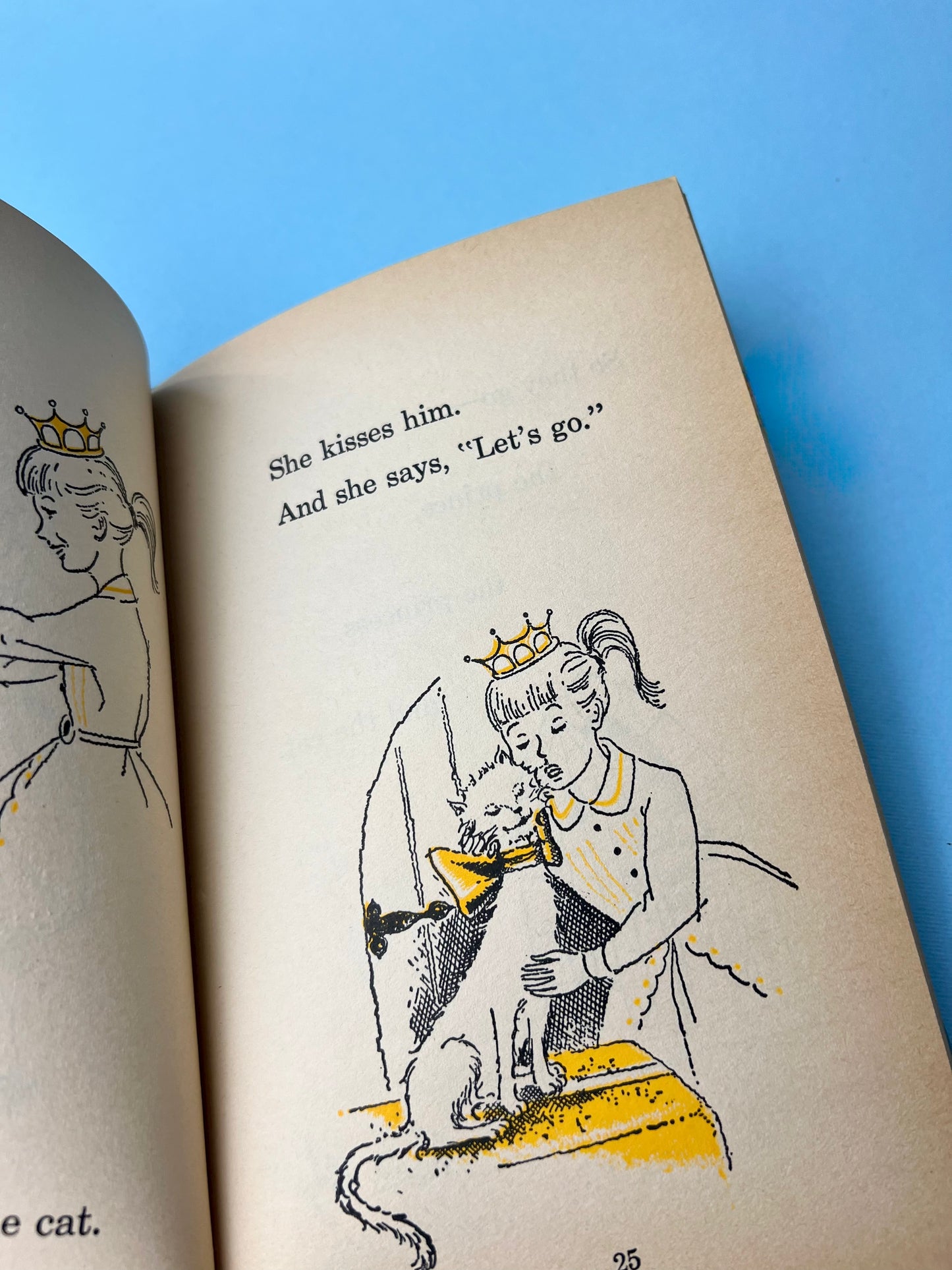 Vintage Wonder Book - The Secret Cat