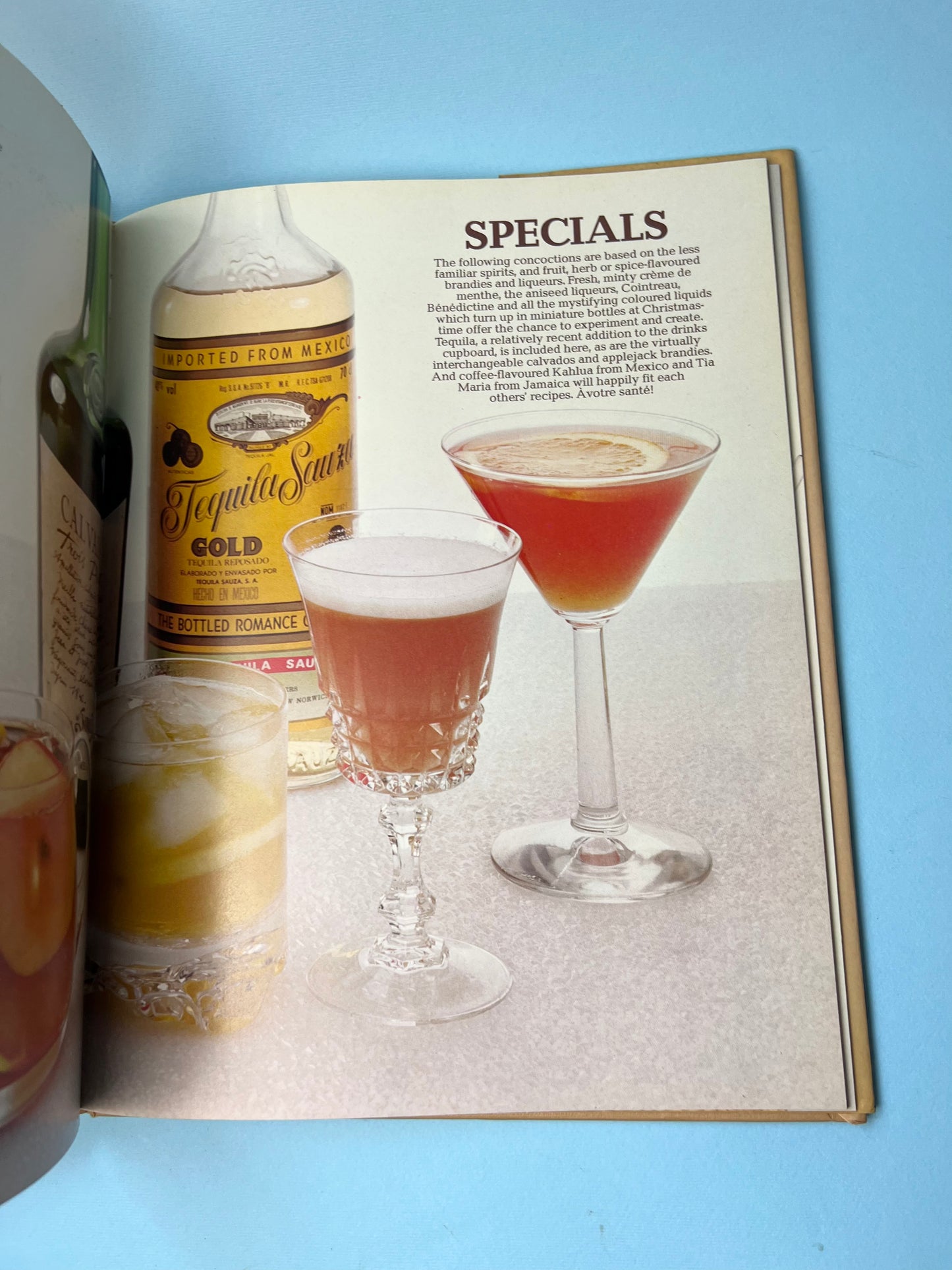 Vintage Cocktails for Two Book