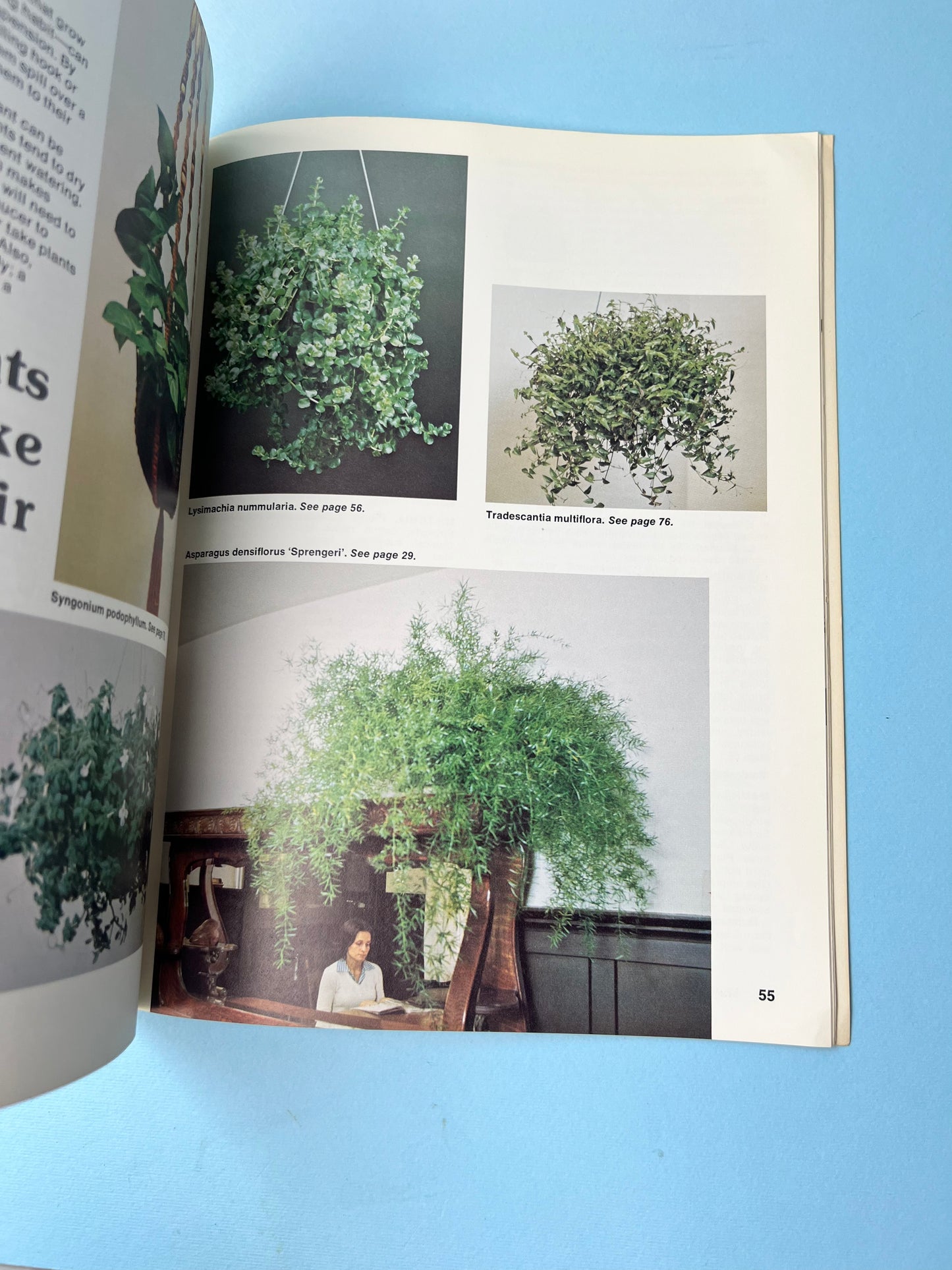 Vintage Sunset Book - How to Grow House Plants