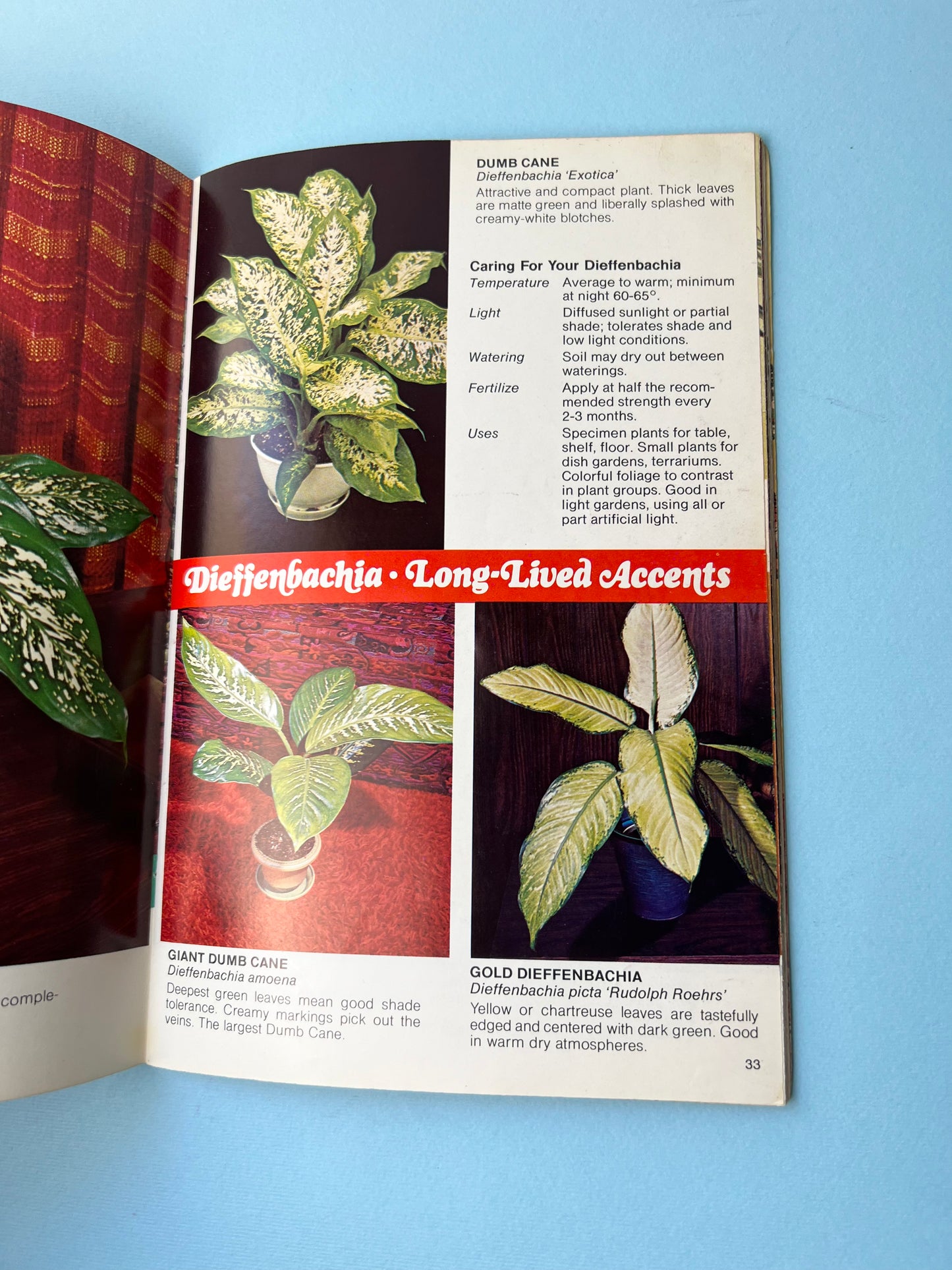 Vintage Foliage Plants for Modern Living Book