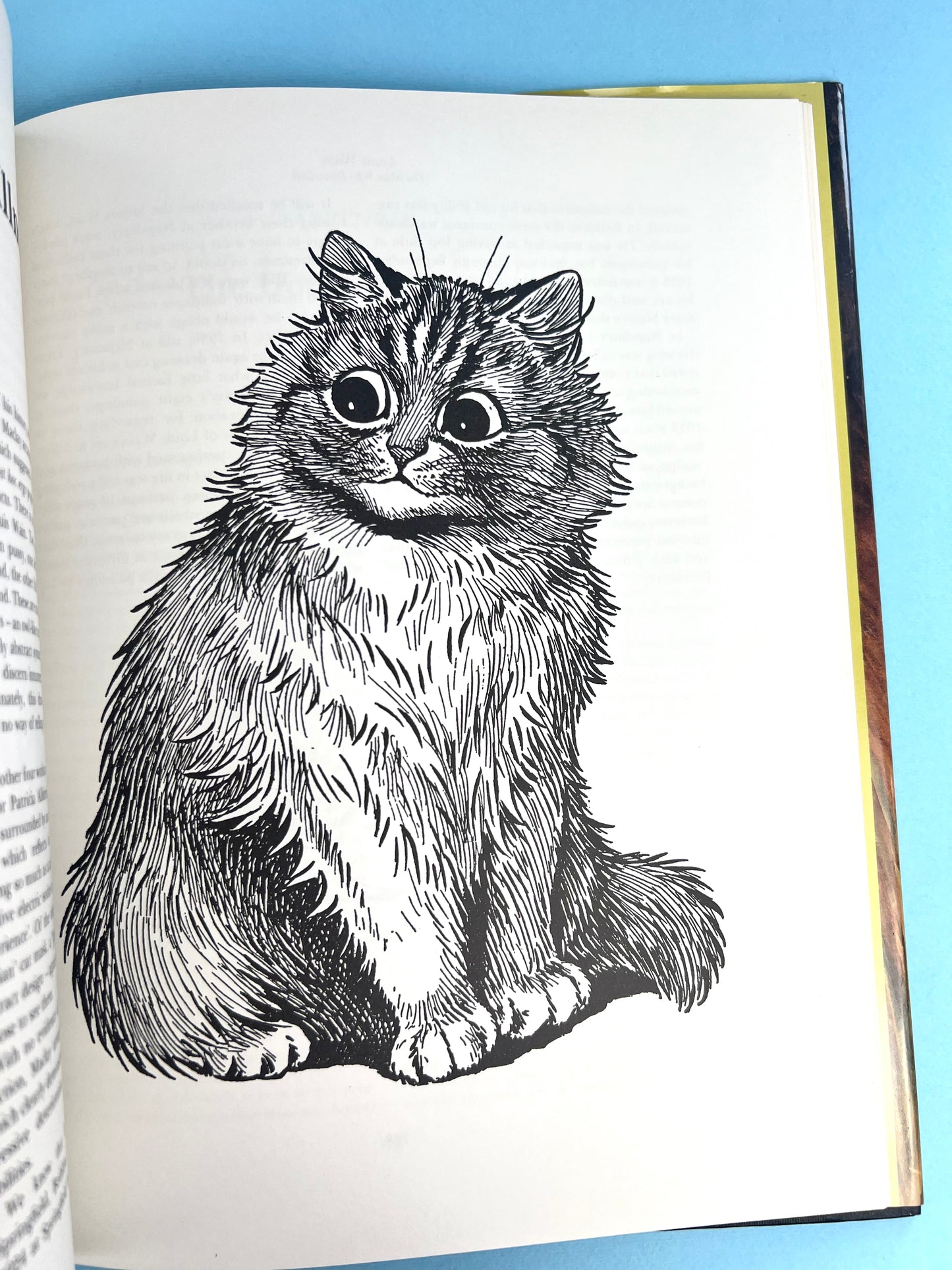 Vintage 90's Louis Wain - The Man Who Drew Cats Book