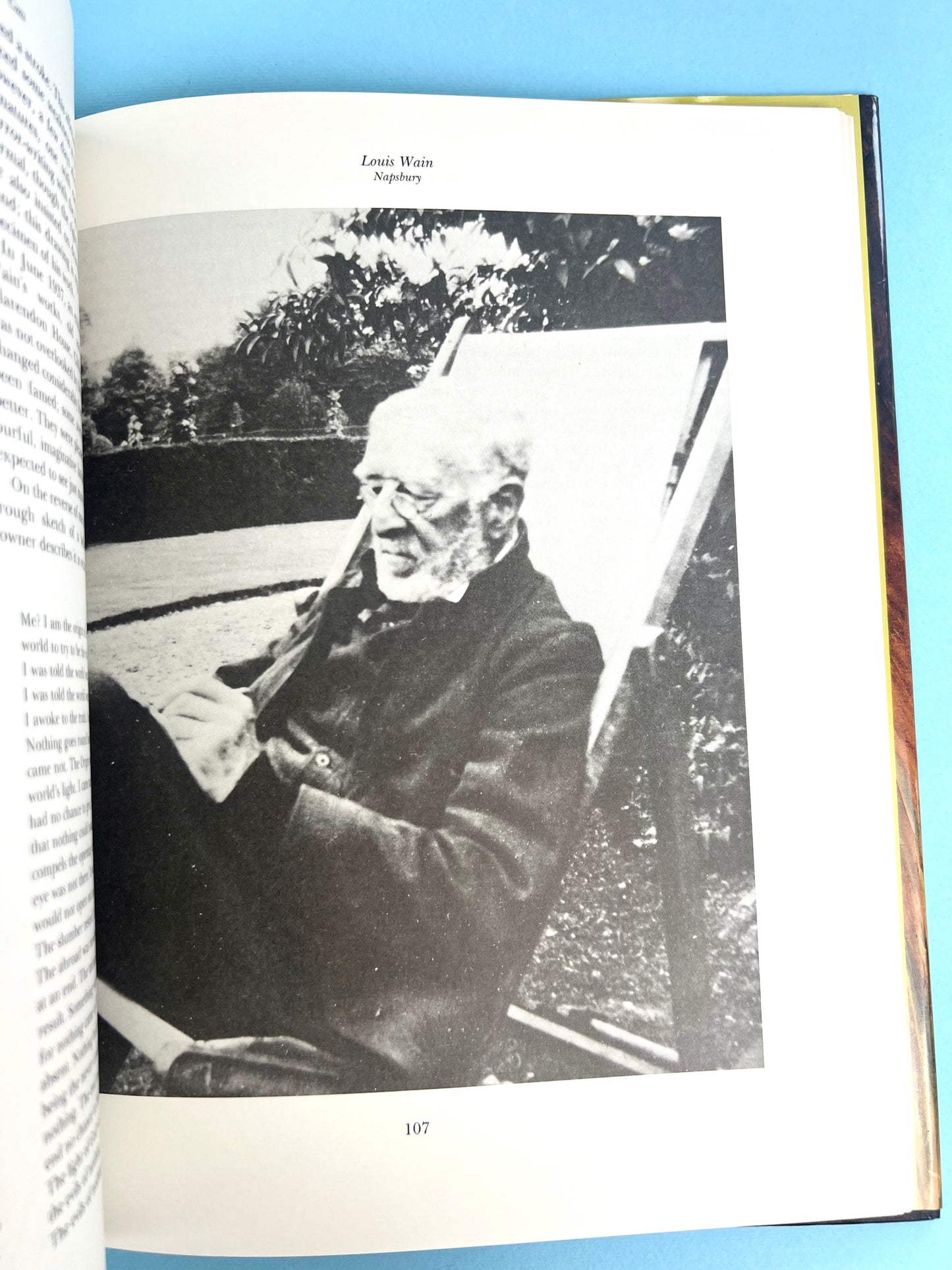 Vintage 90's Louis Wain - The Man Who Drew Cats Book