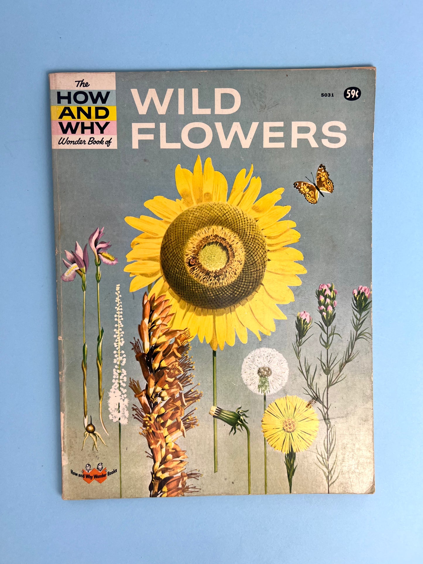 The HOW AND WHY Wonder Book of WILDFLOWERS