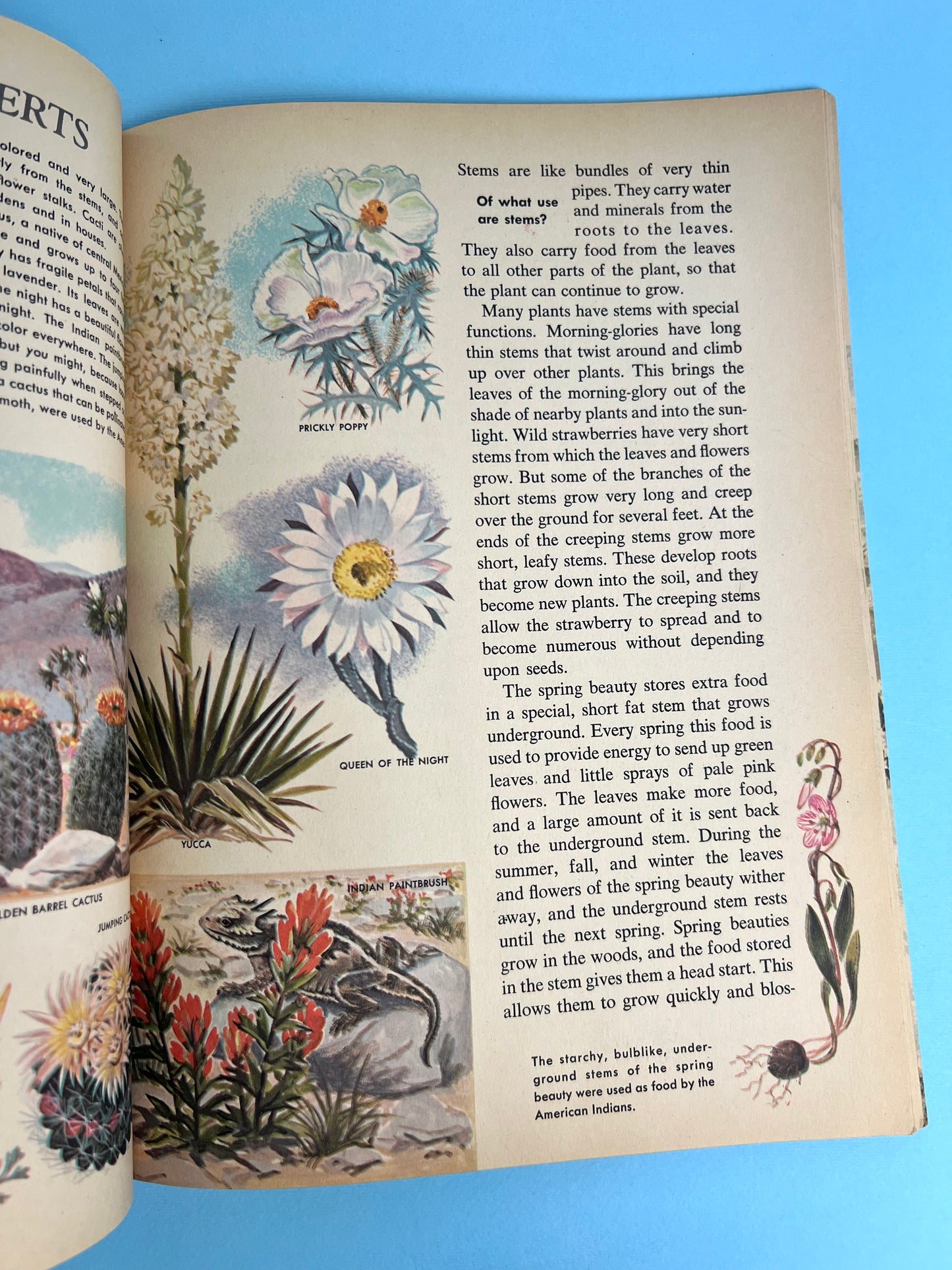 The HOW AND WHY Wonder Book of WILDFLOWERS