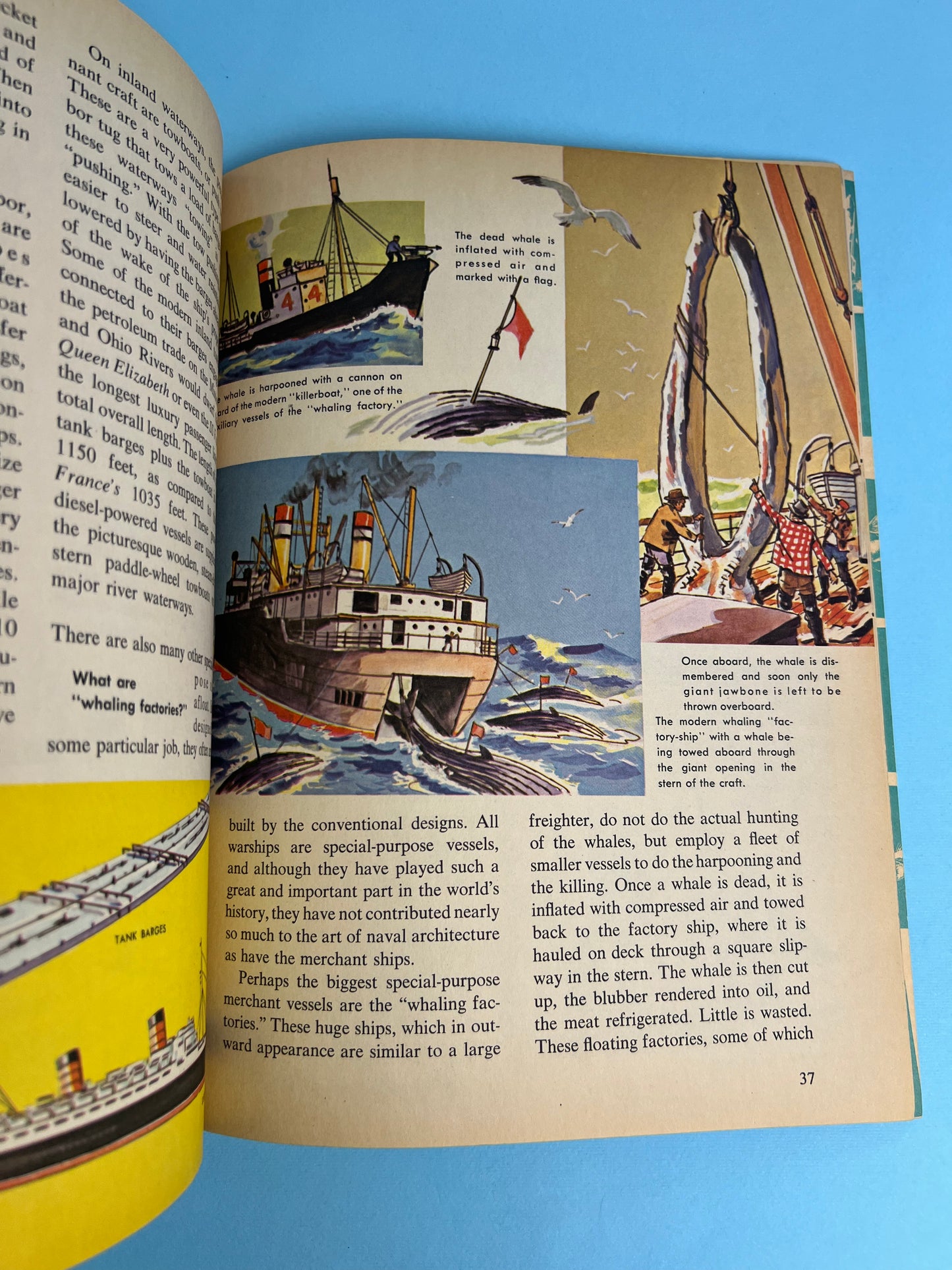 The HOW AND WHY Wonder Book of SHIPS
