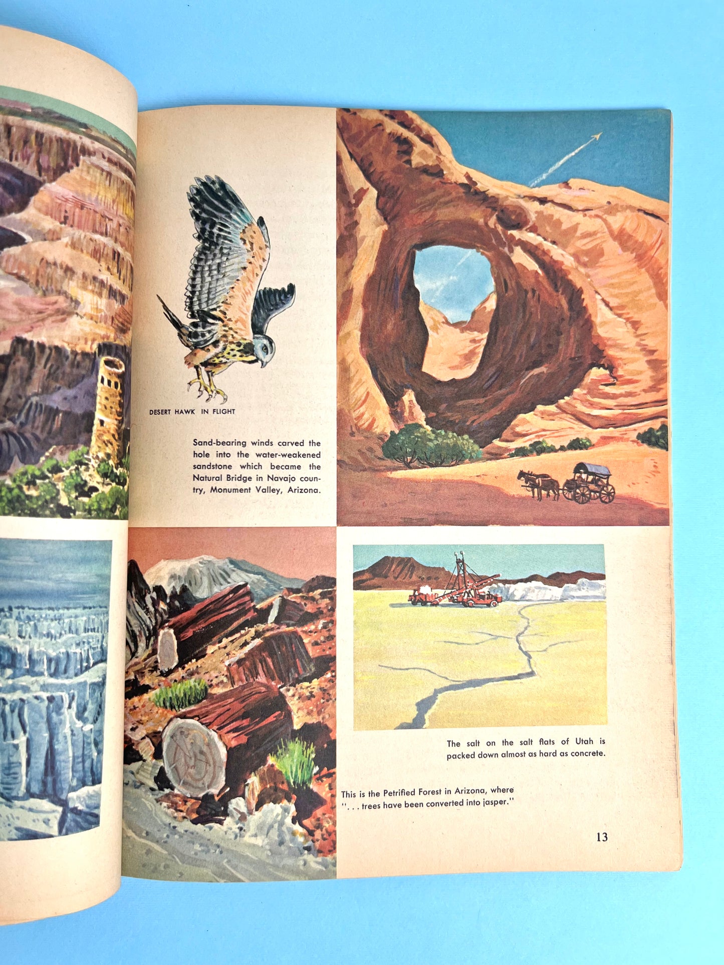 The HOW AND WHY Wonder Book of DESERT