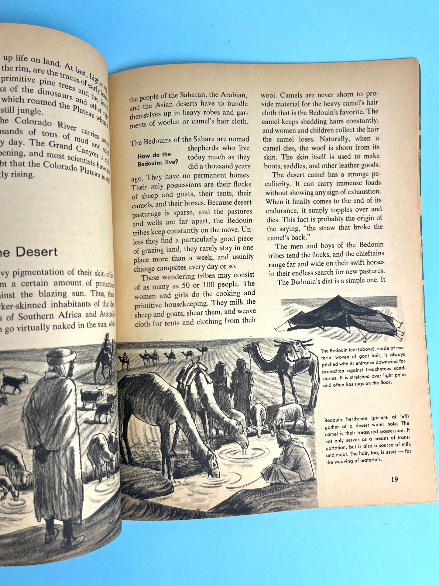 The HOW AND WHY Wonder Book of DESERT