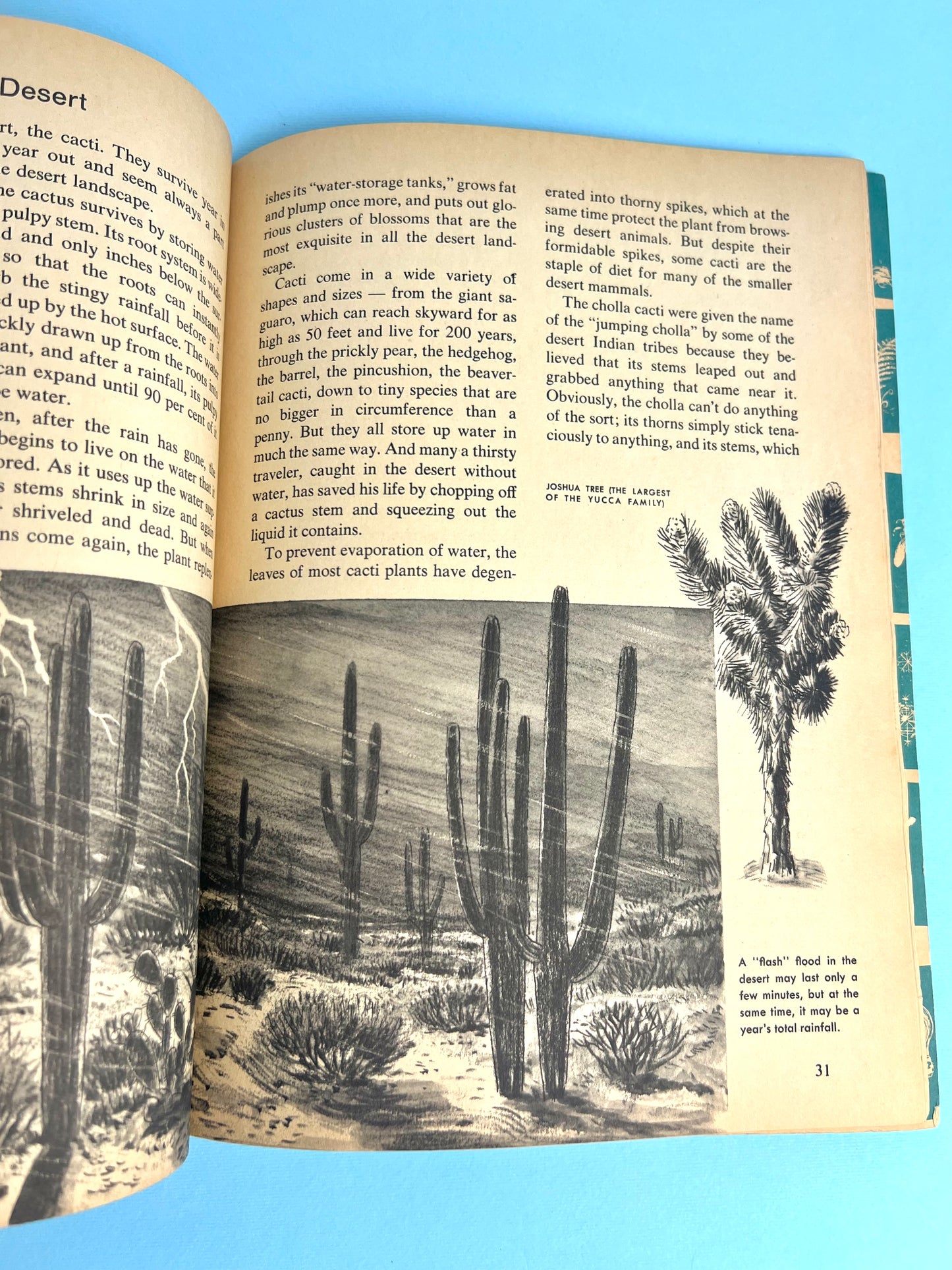 The HOW AND WHY Wonder Book of DESERT