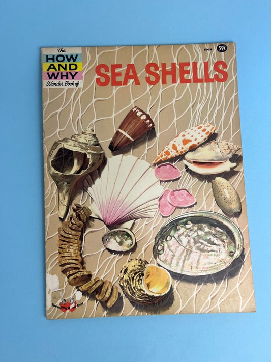 The HOW AND WHY Wonder Book of SEASHELLS
