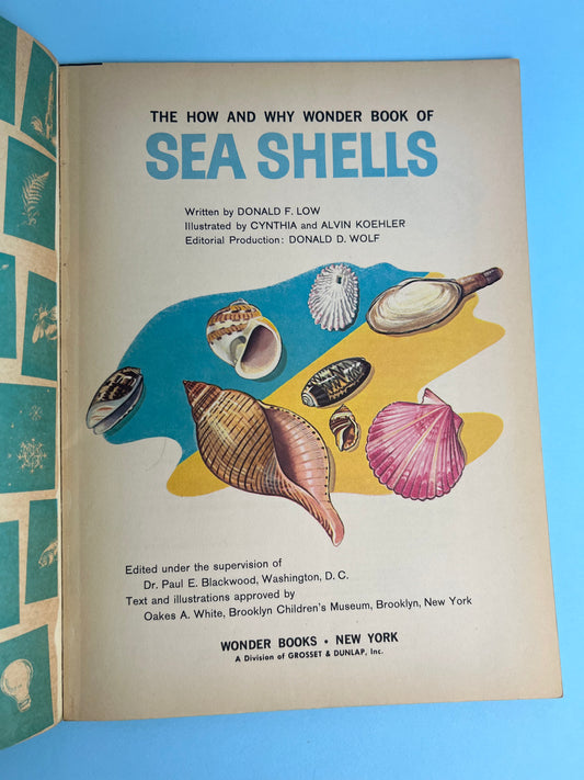 The HOW AND WHY Wonder Book of SEASHELLS
