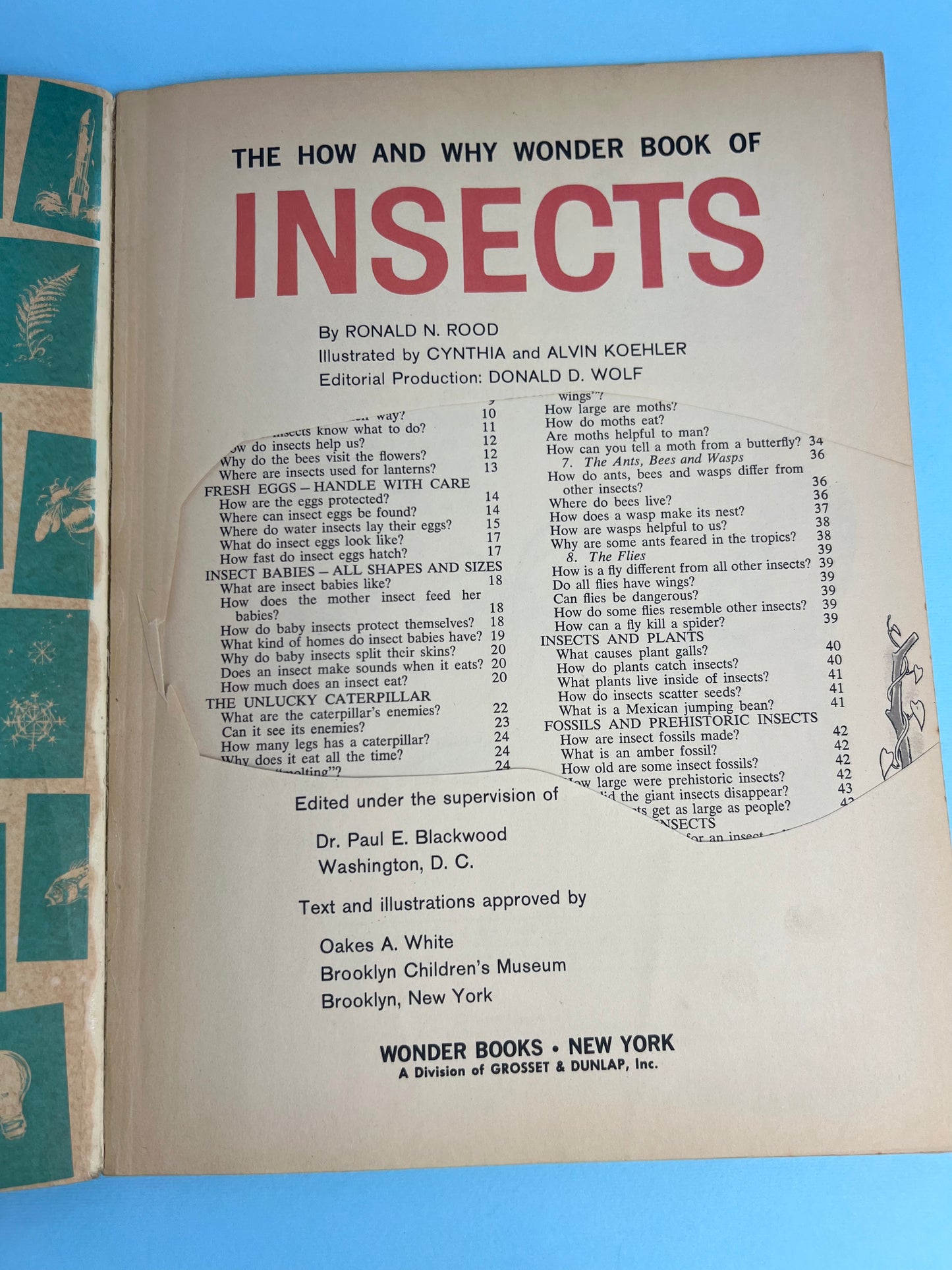 The HOW AND WHY Wonder Book of INSECTS