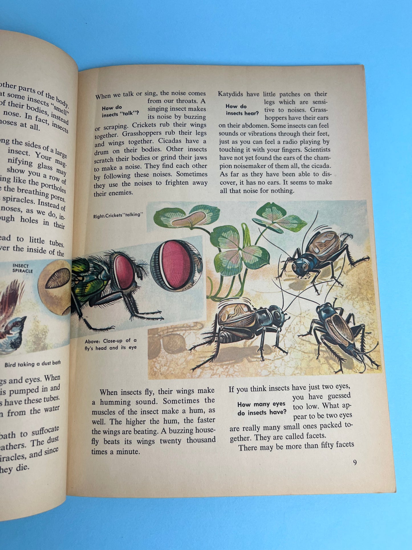 The HOW AND WHY Wonder Book of INSECTS