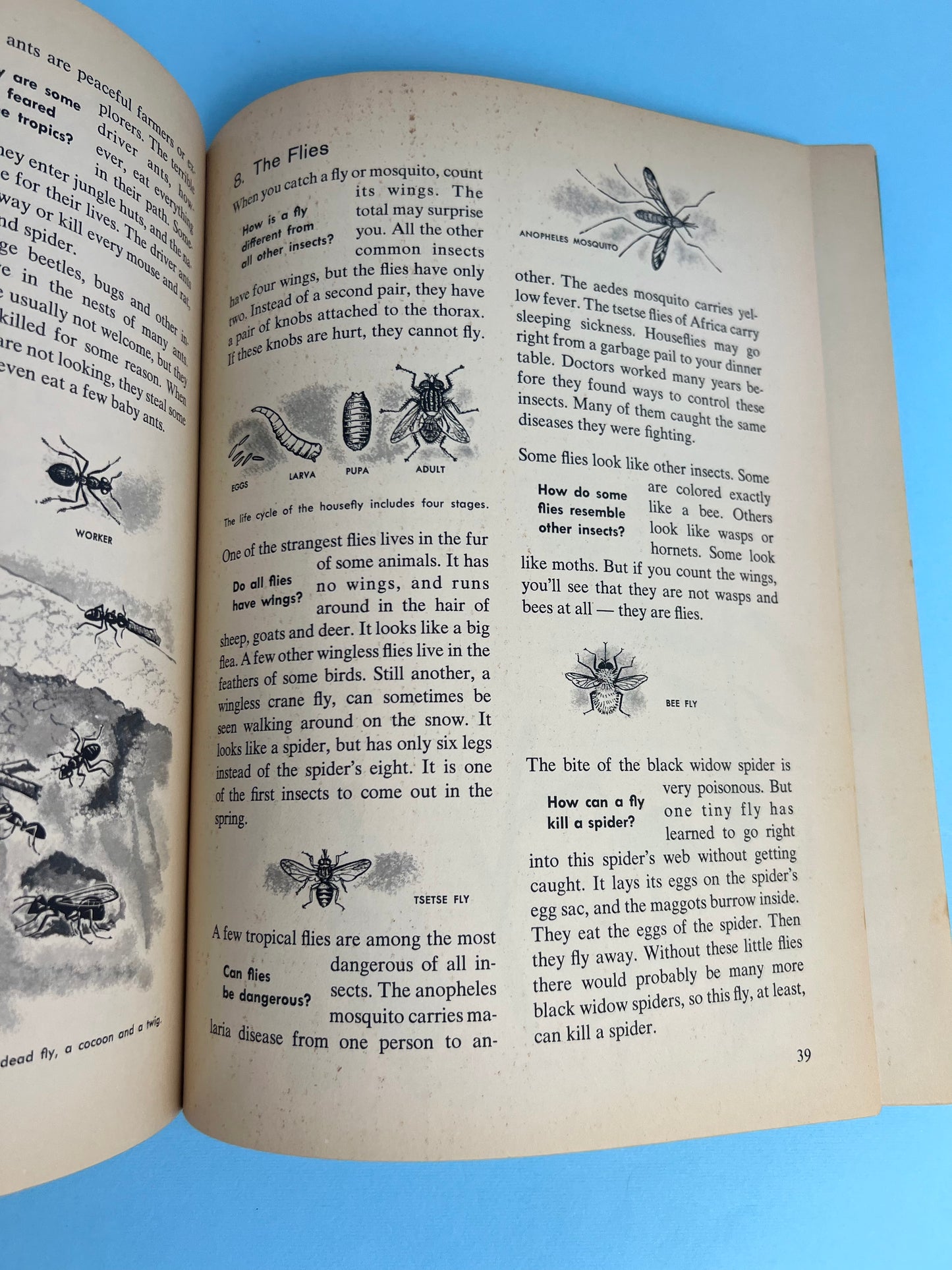The HOW AND WHY Wonder Book of INSECTS