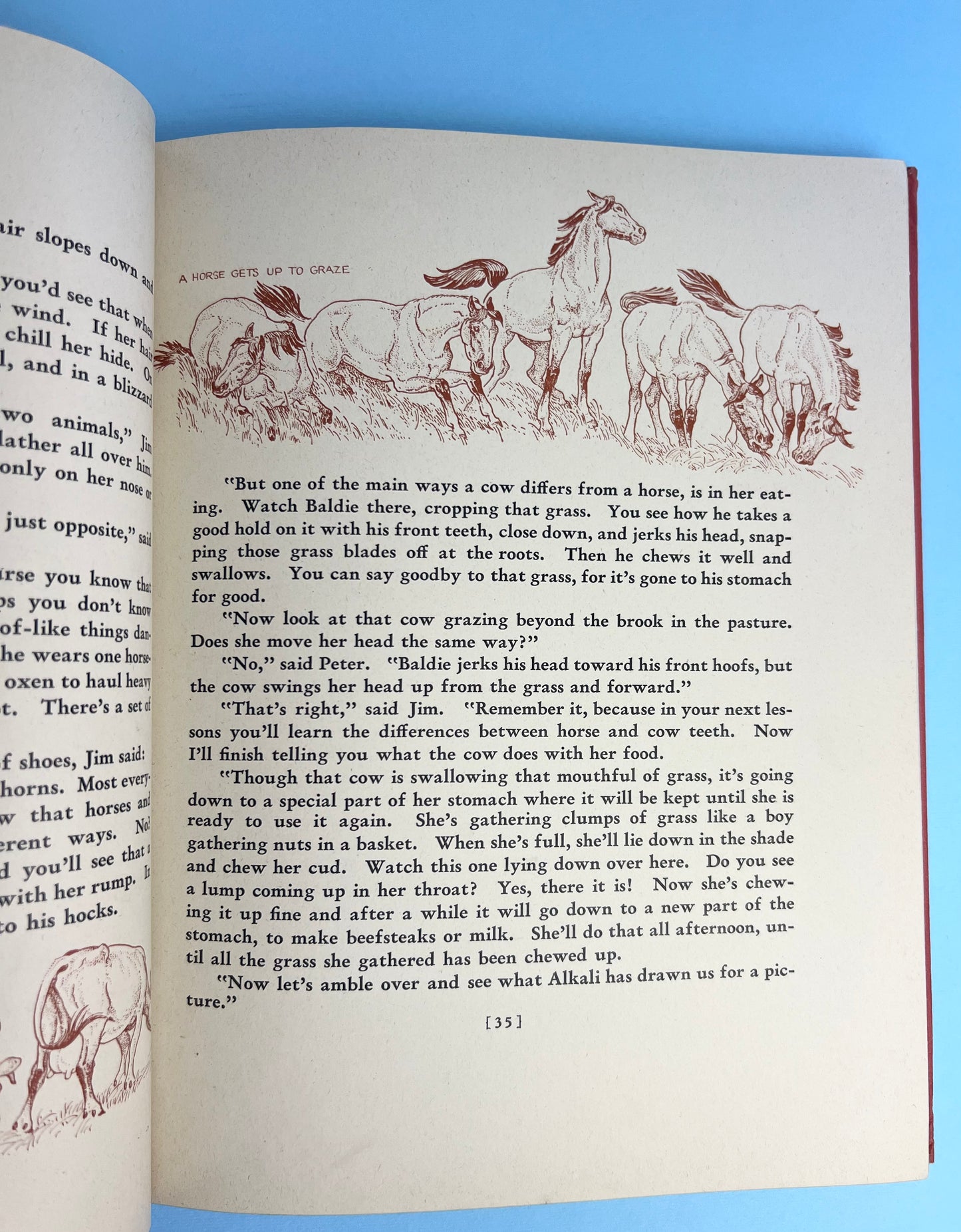 Vintage The Book of Cowboys